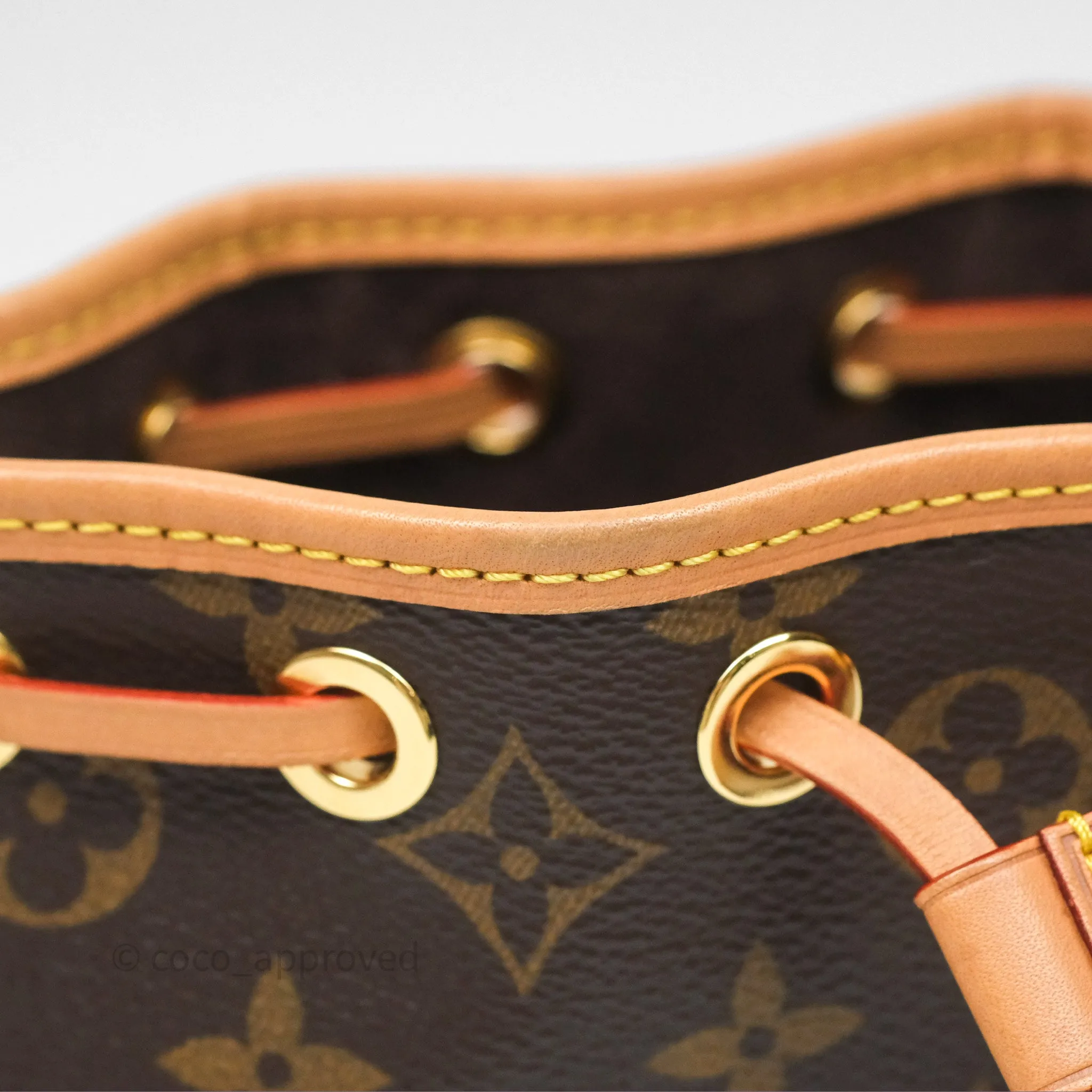 Louis Vuitton Nano Noe Monogram