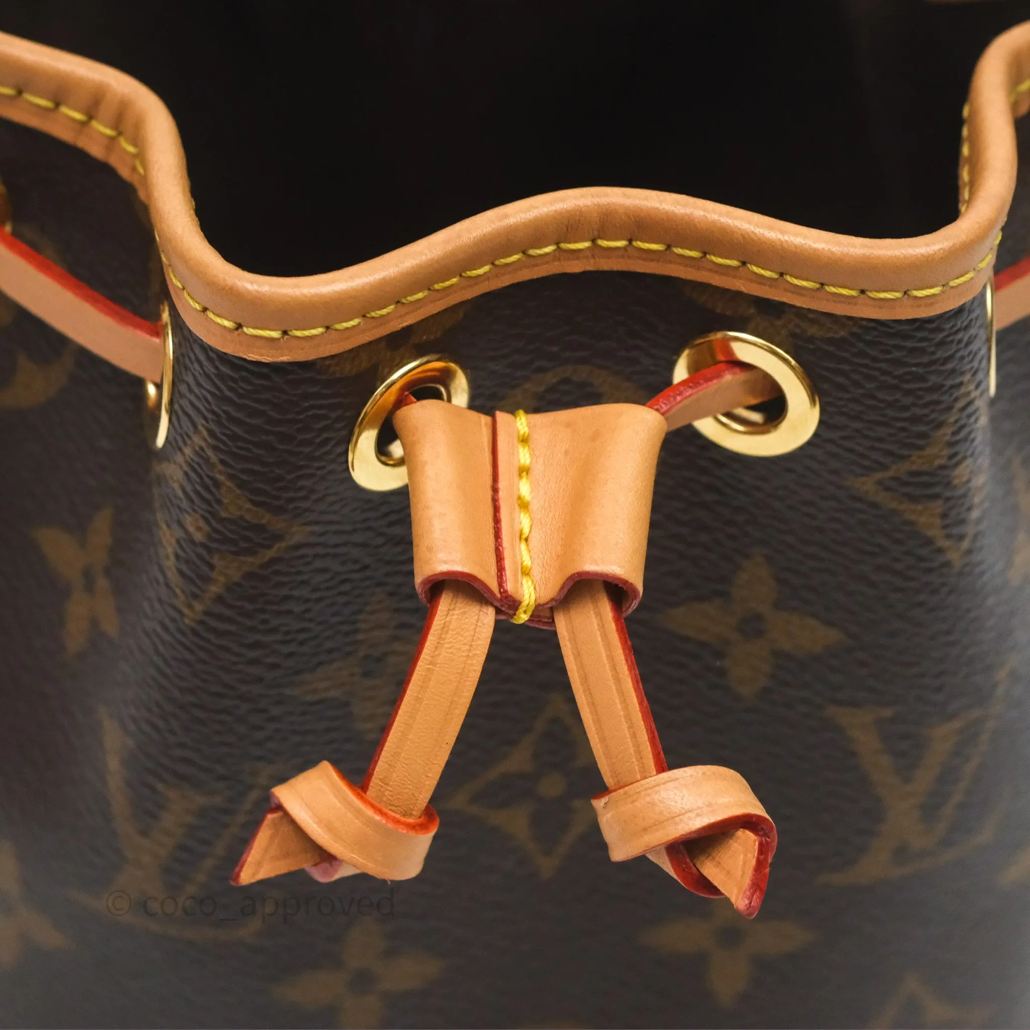 Louis Vuitton Nano Noe Monogram