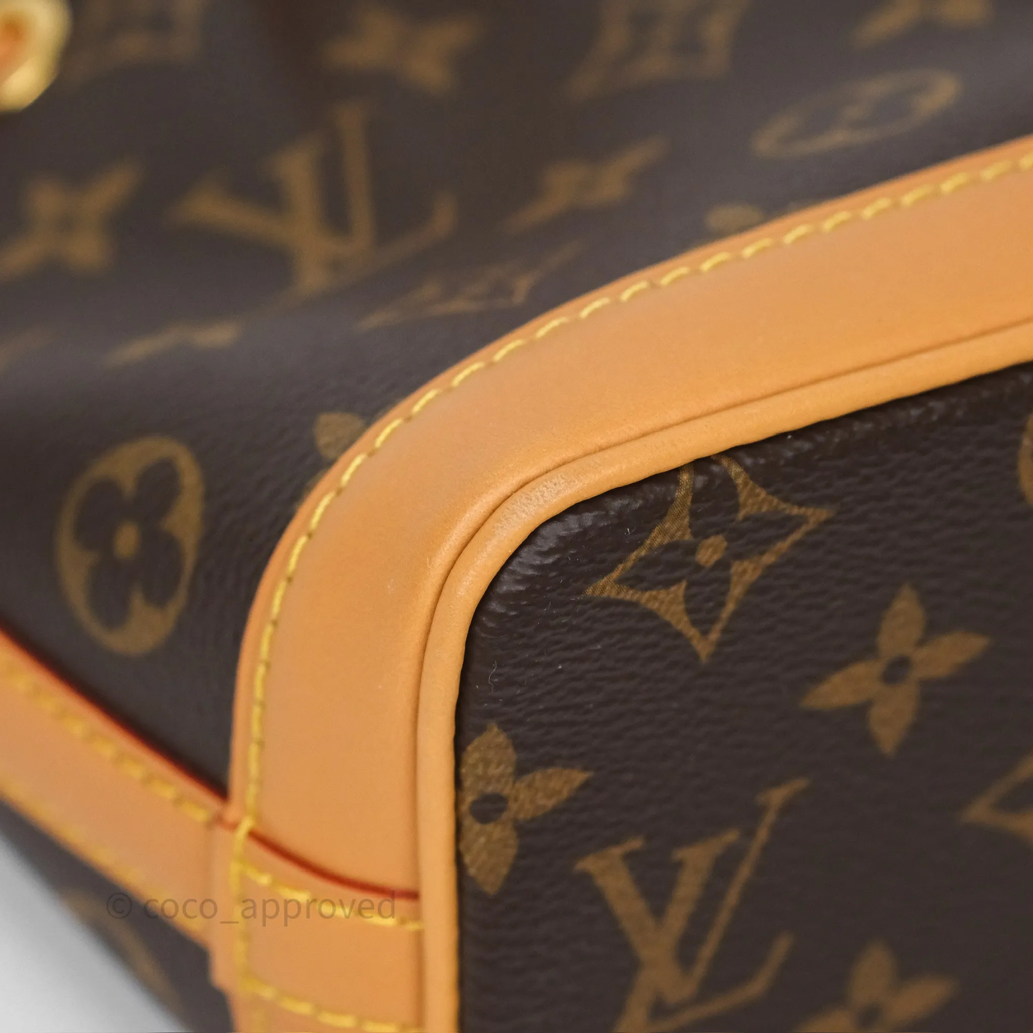 Louis Vuitton Nano Noe Monogram
