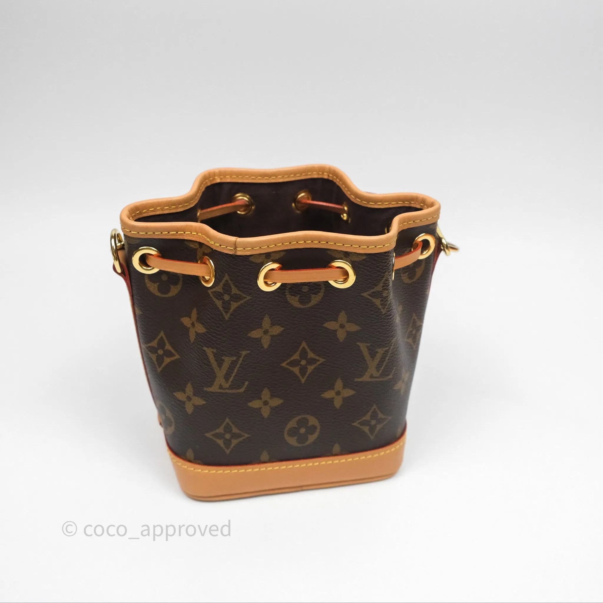 Louis Vuitton Nano Noe Monogram