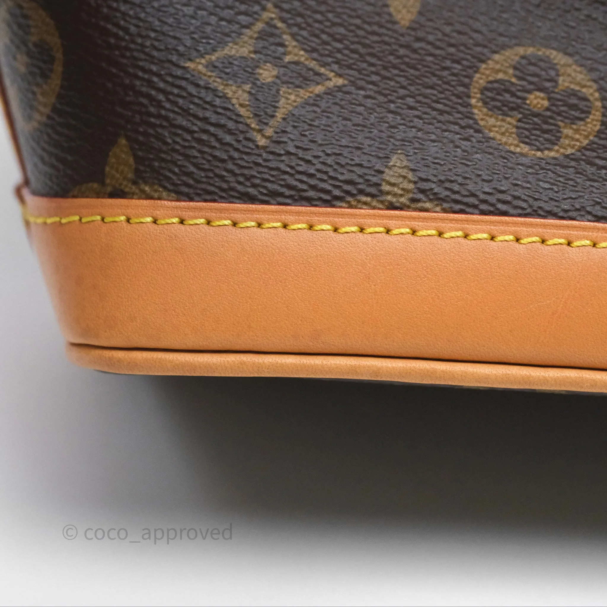 Louis Vuitton Nano Noe Monogram