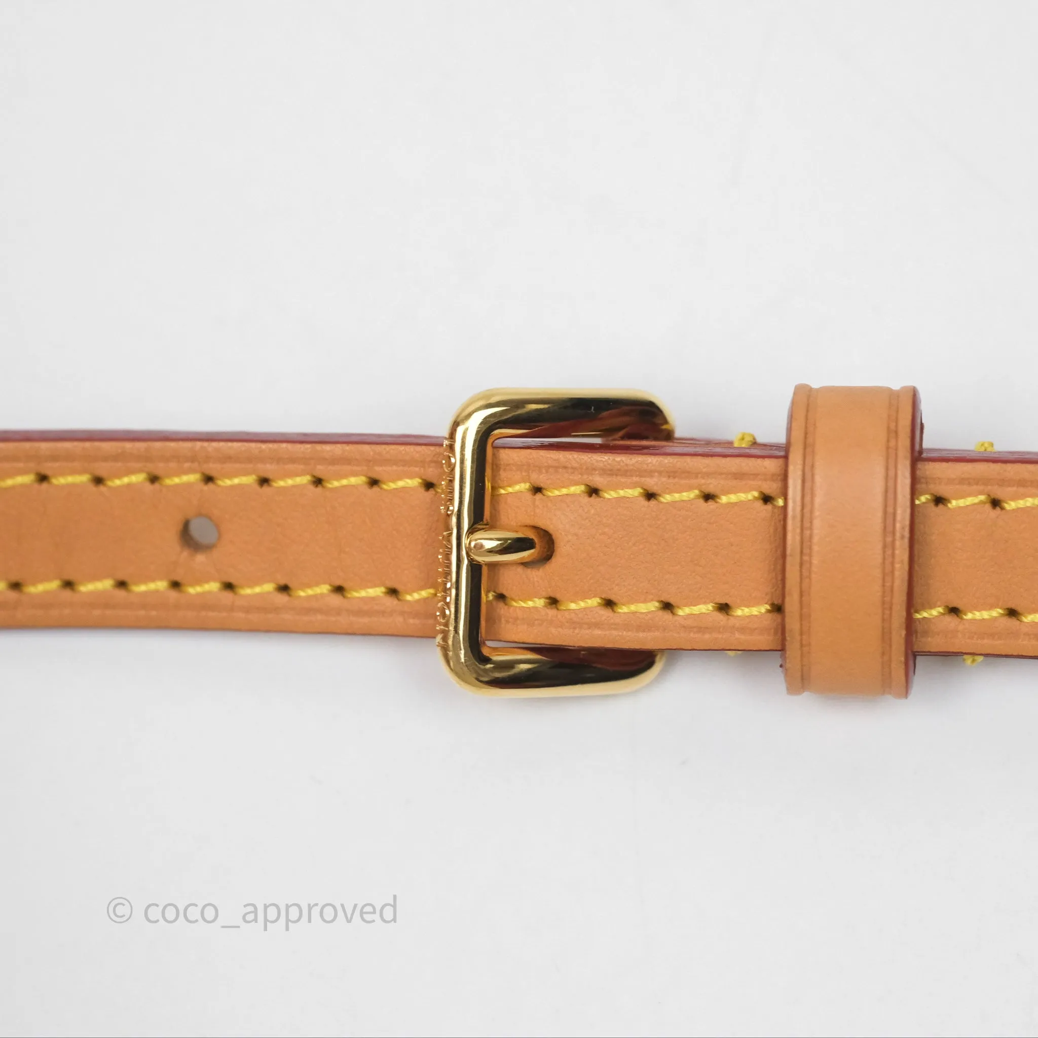 Louis Vuitton Nano Noe Monogram