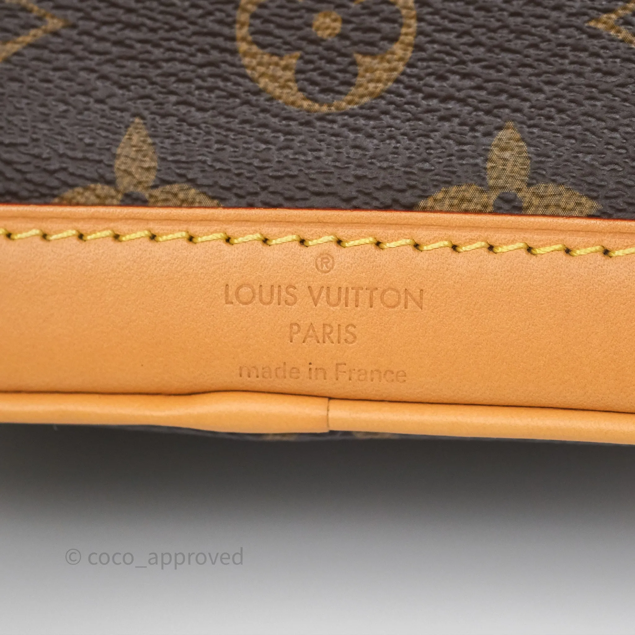 Louis Vuitton Nano Noe Monogram