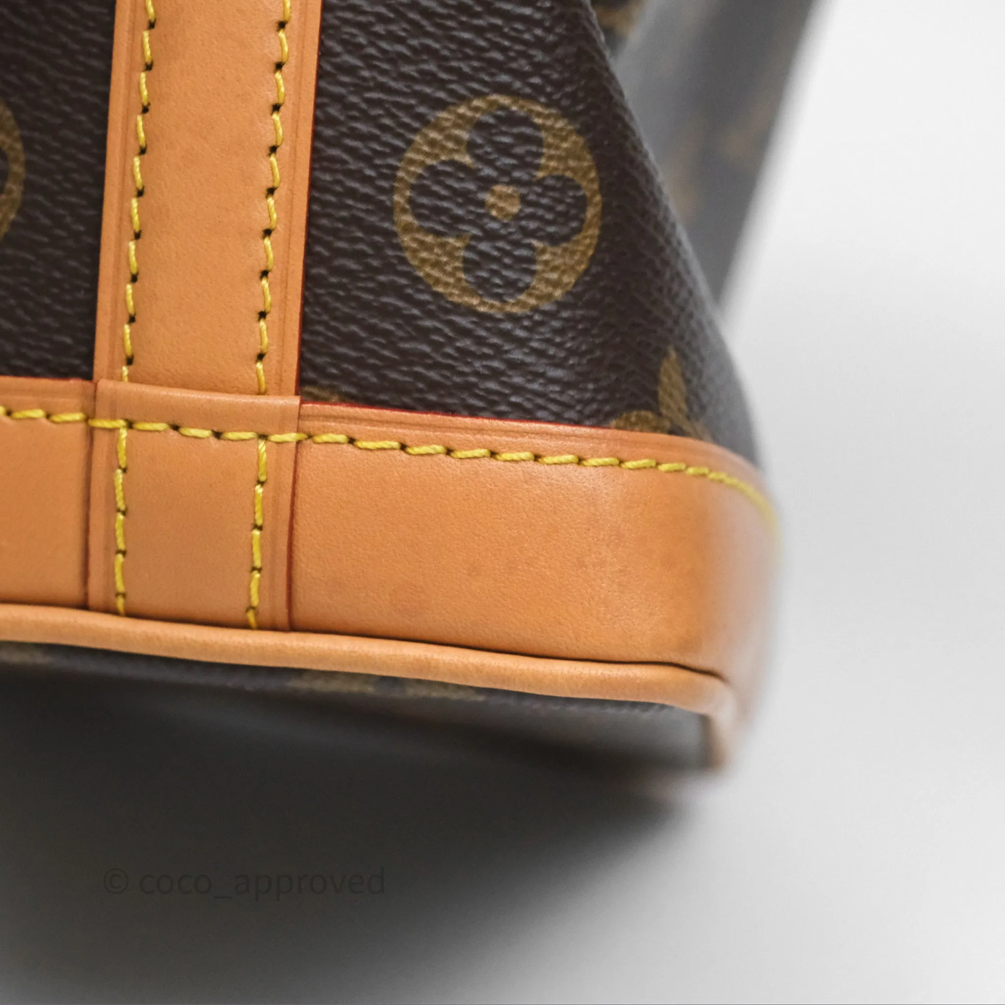 Louis Vuitton Nano Noe Monogram