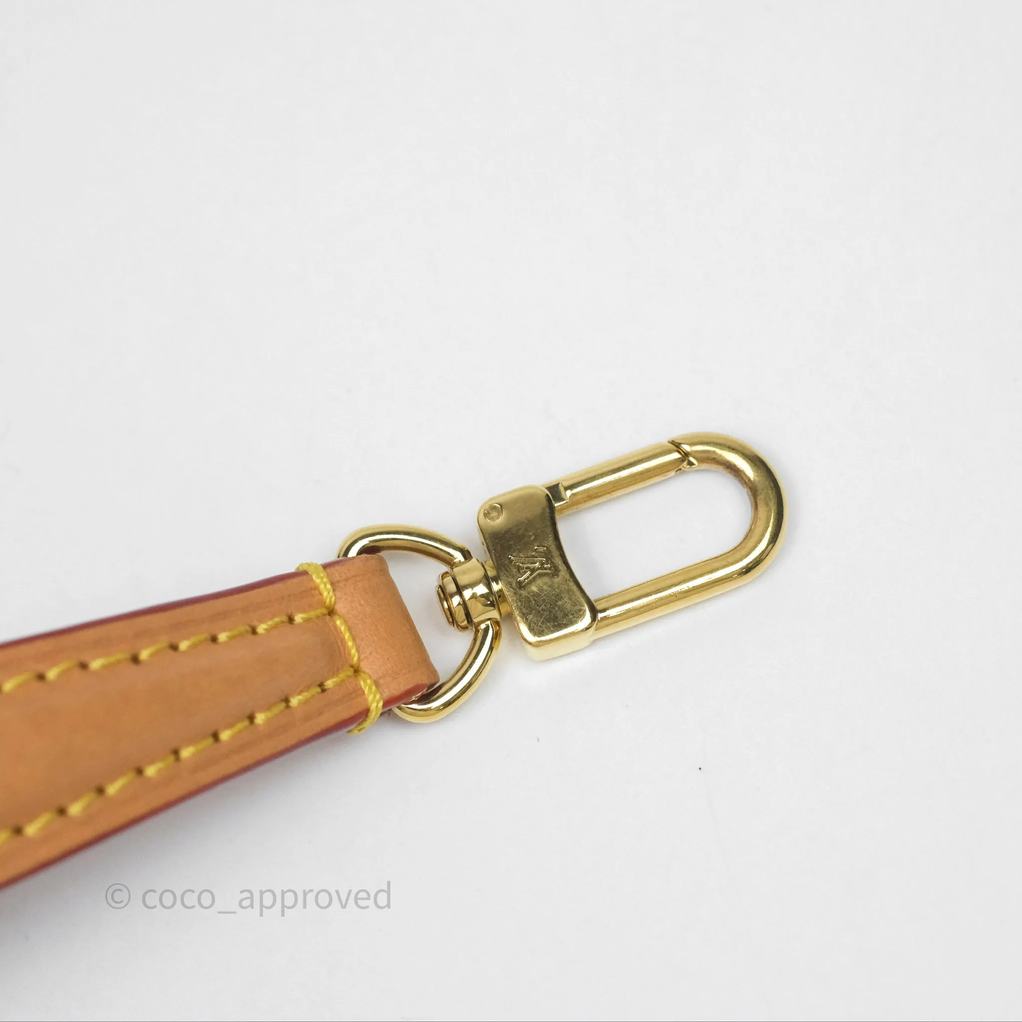 Louis Vuitton Nano Noe Monogram