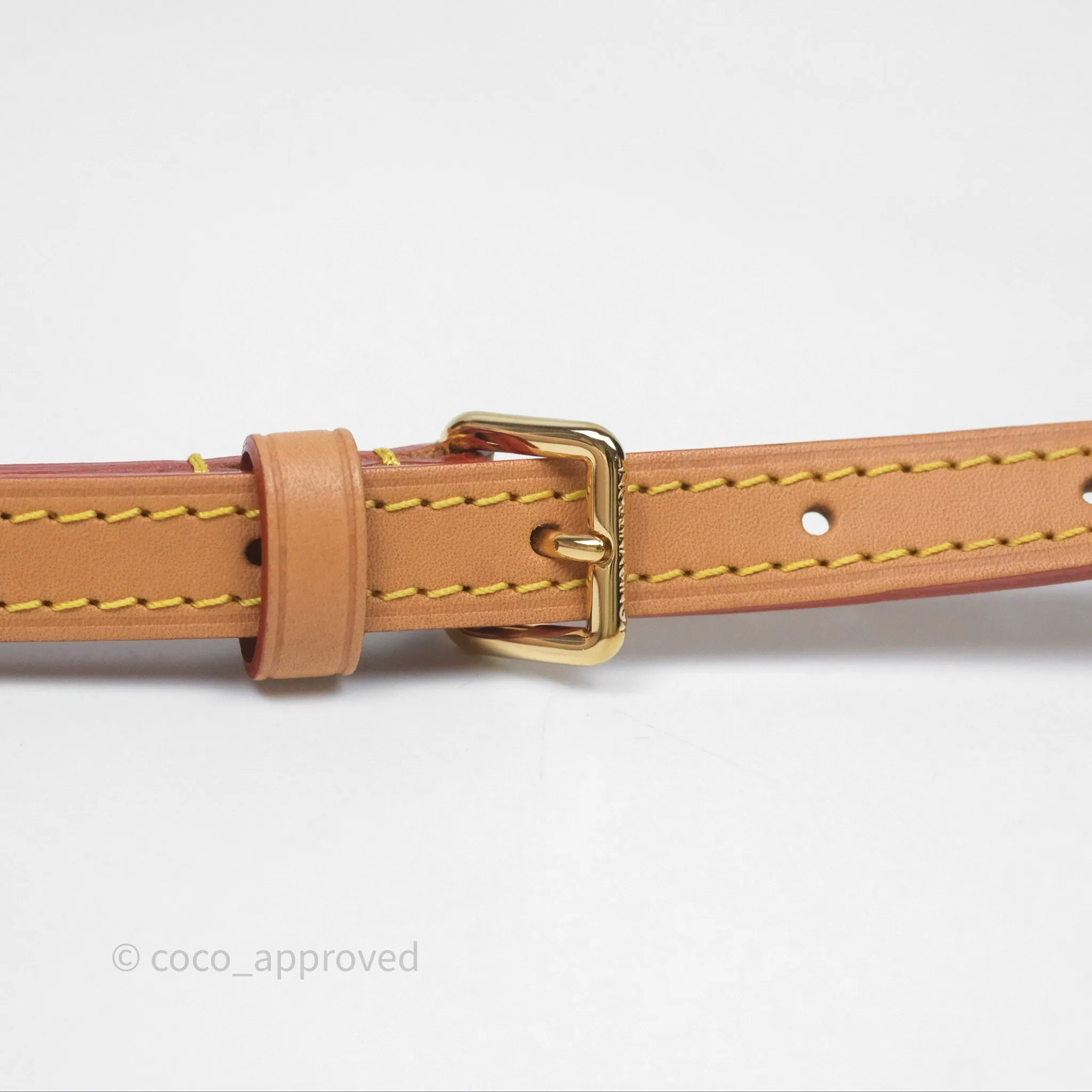 Louis Vuitton Nano Noe Monogram