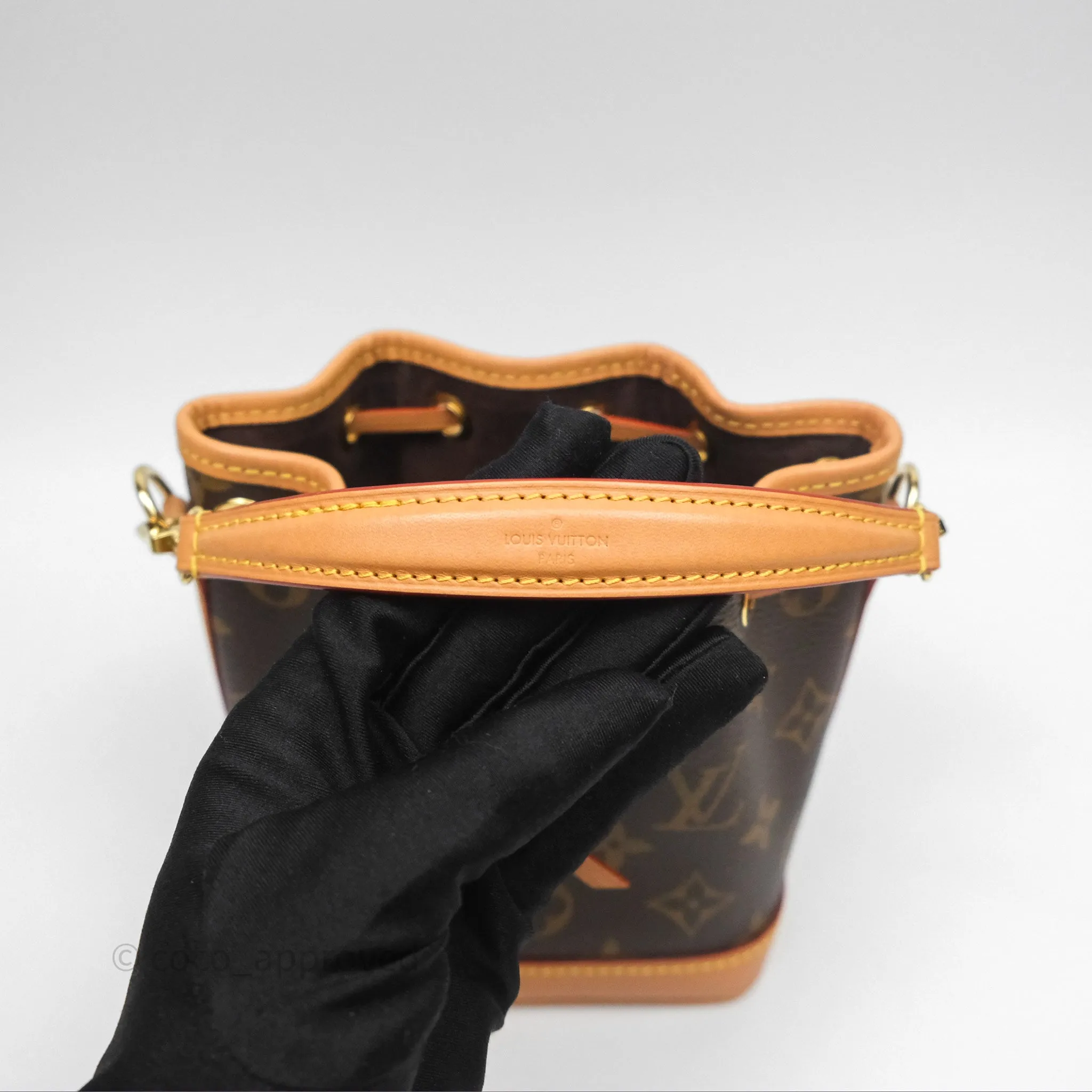 Louis Vuitton Nano Noe Monogram