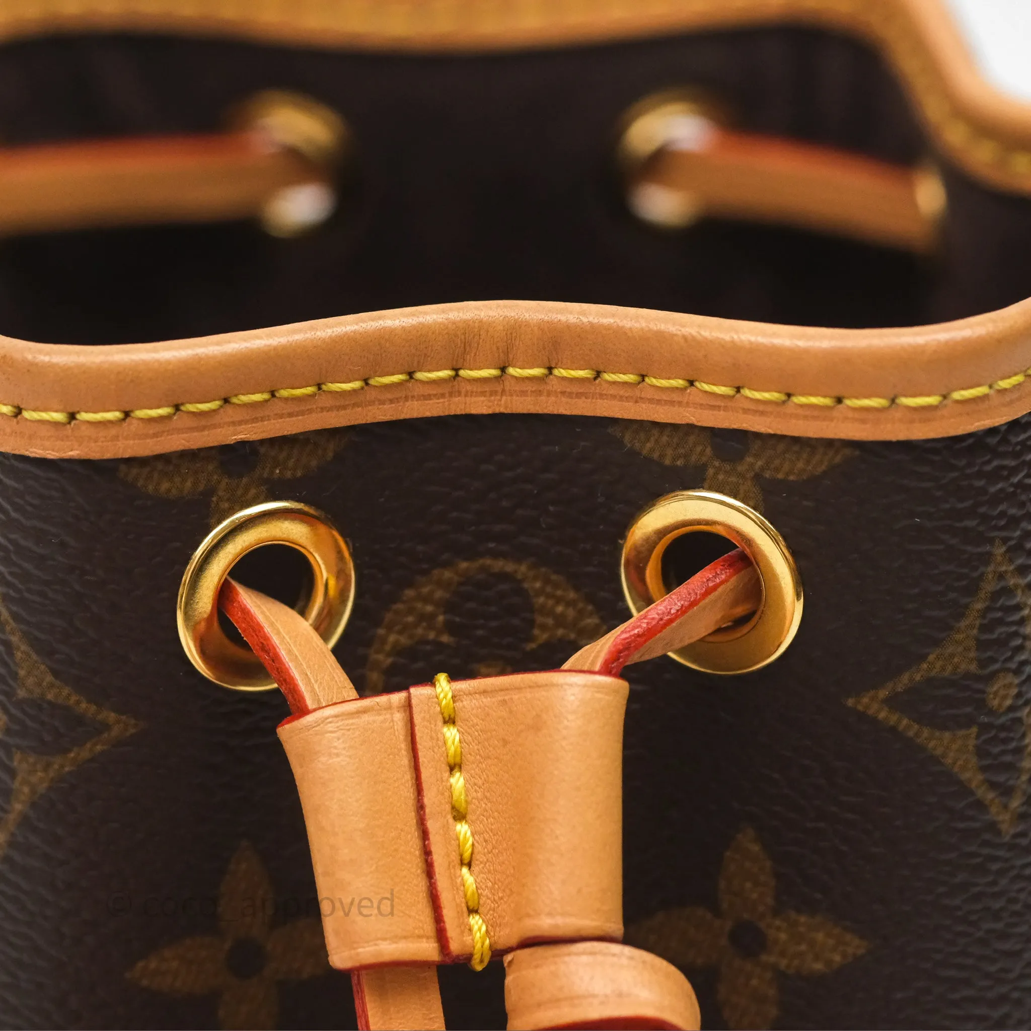 Louis Vuitton Nano Noe Monogram