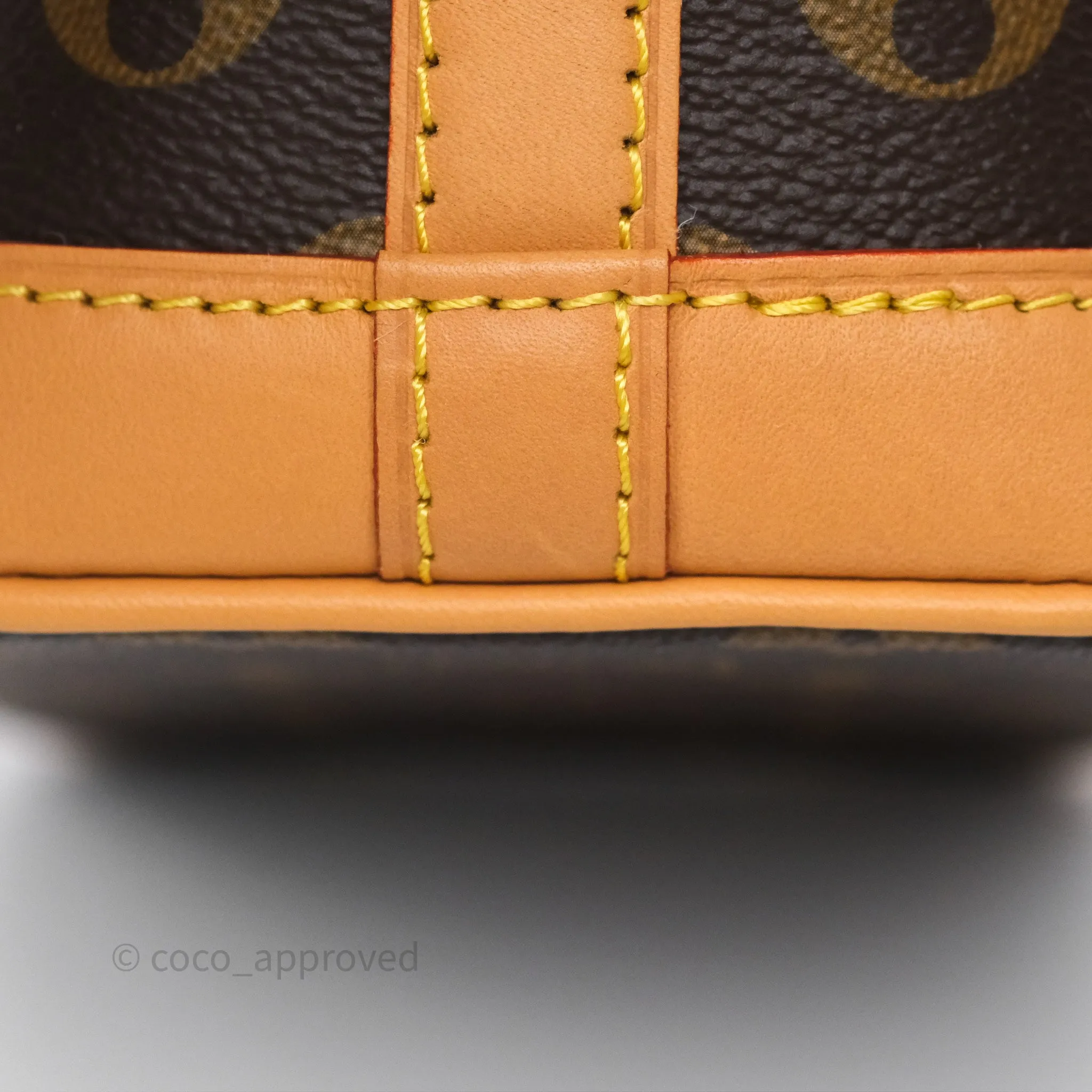 Louis Vuitton Nano Noe Monogram
