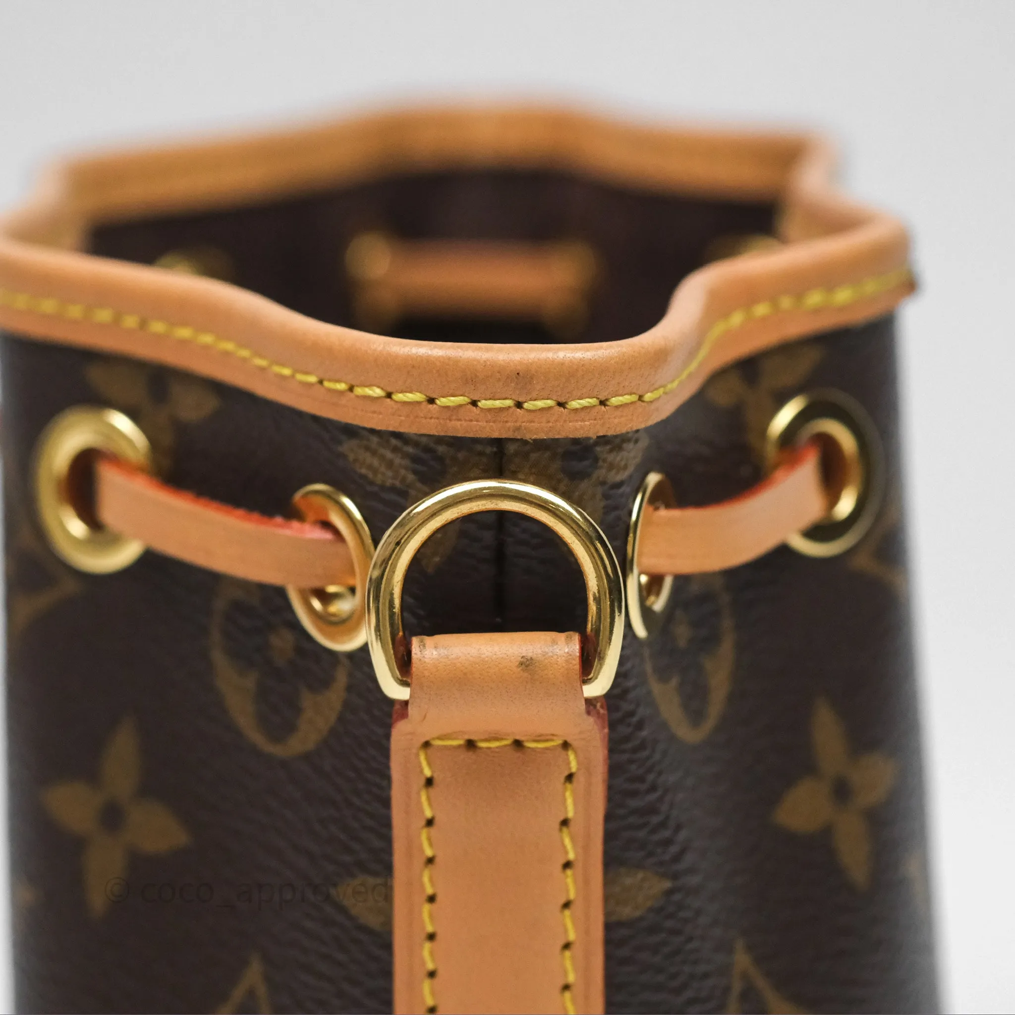 Louis Vuitton Nano Noe Monogram