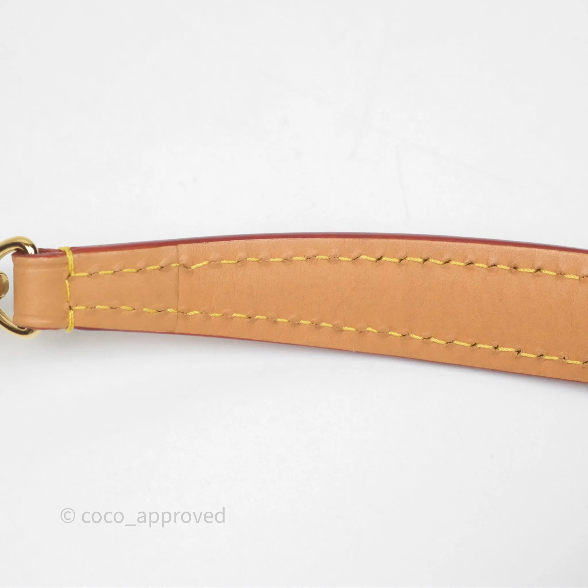 Louis Vuitton Nano Noe Monogram