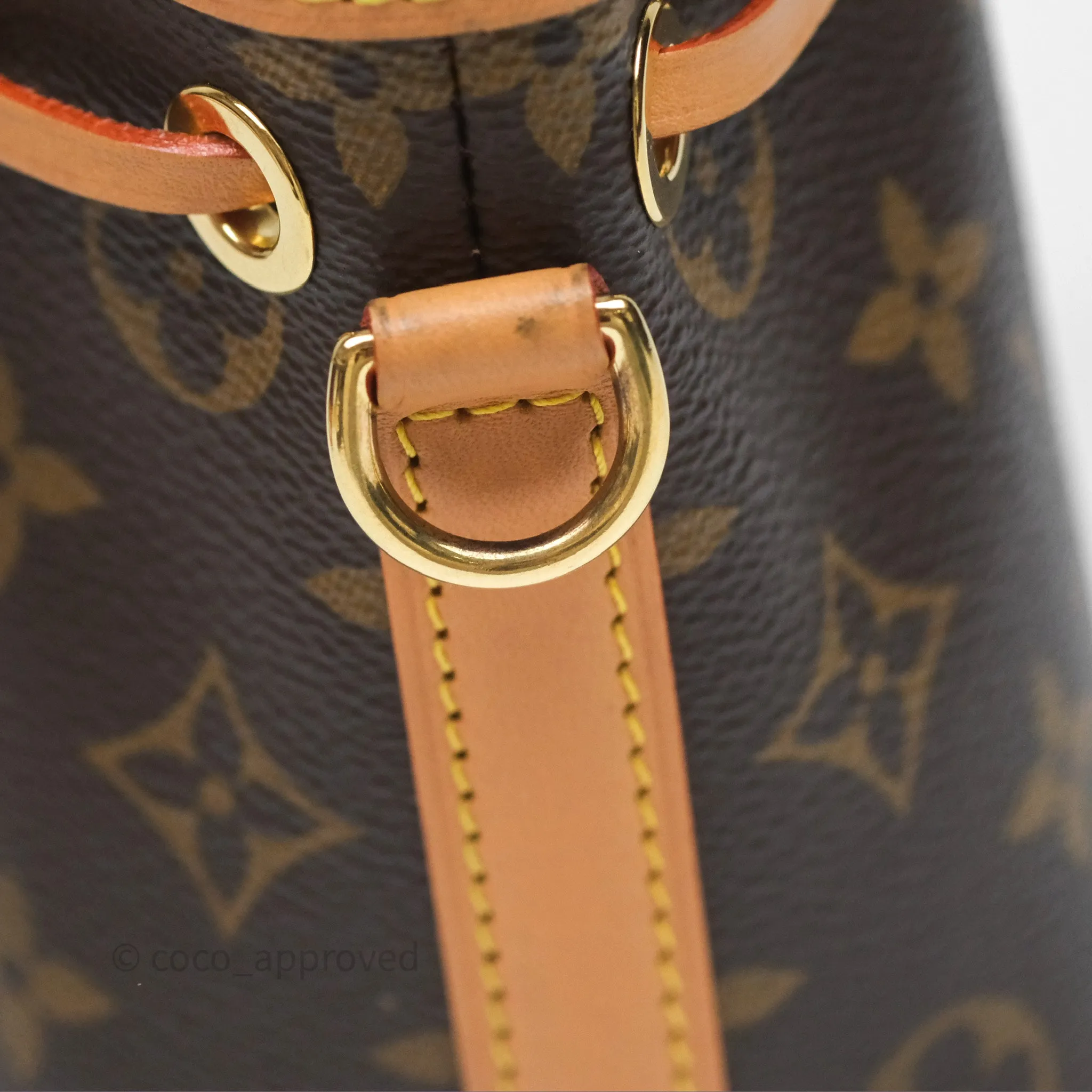 Louis Vuitton Nano Noe Monogram