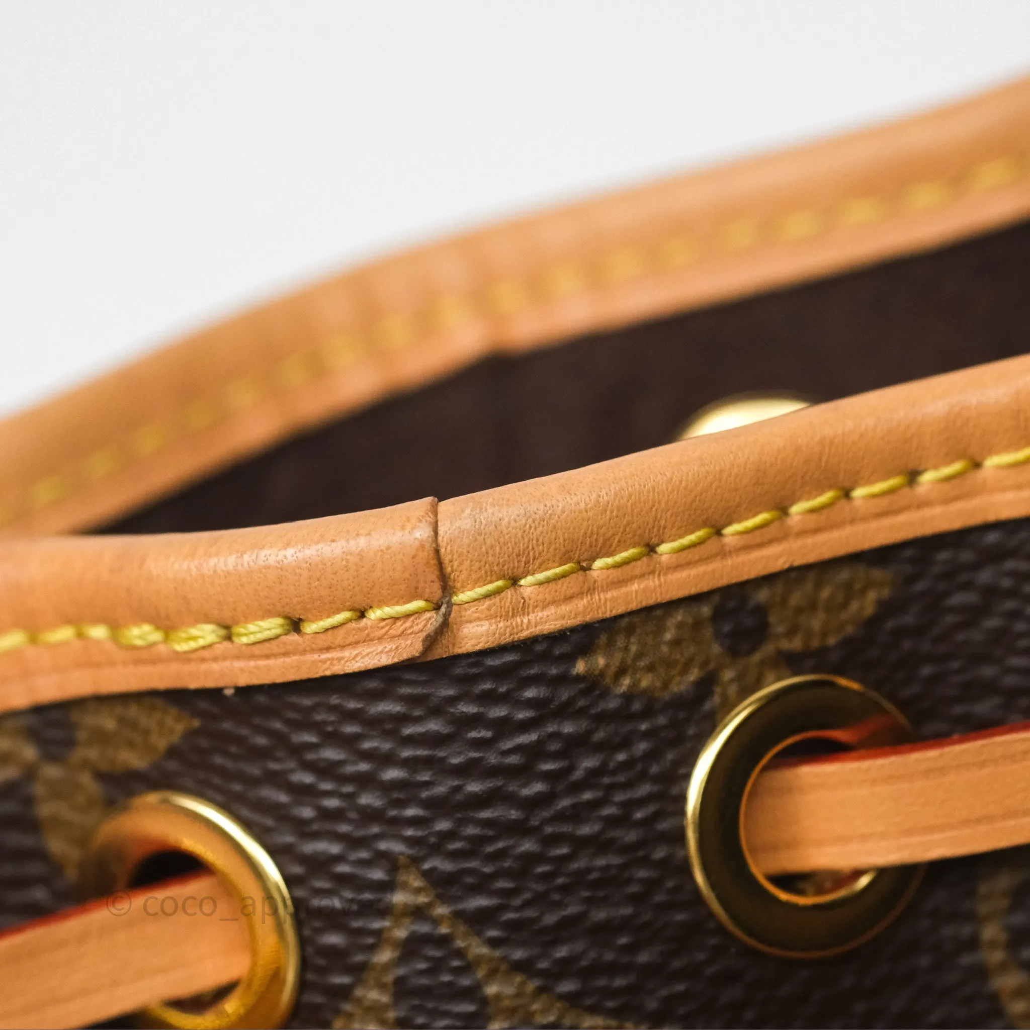 Louis Vuitton Nano Noe Monogram