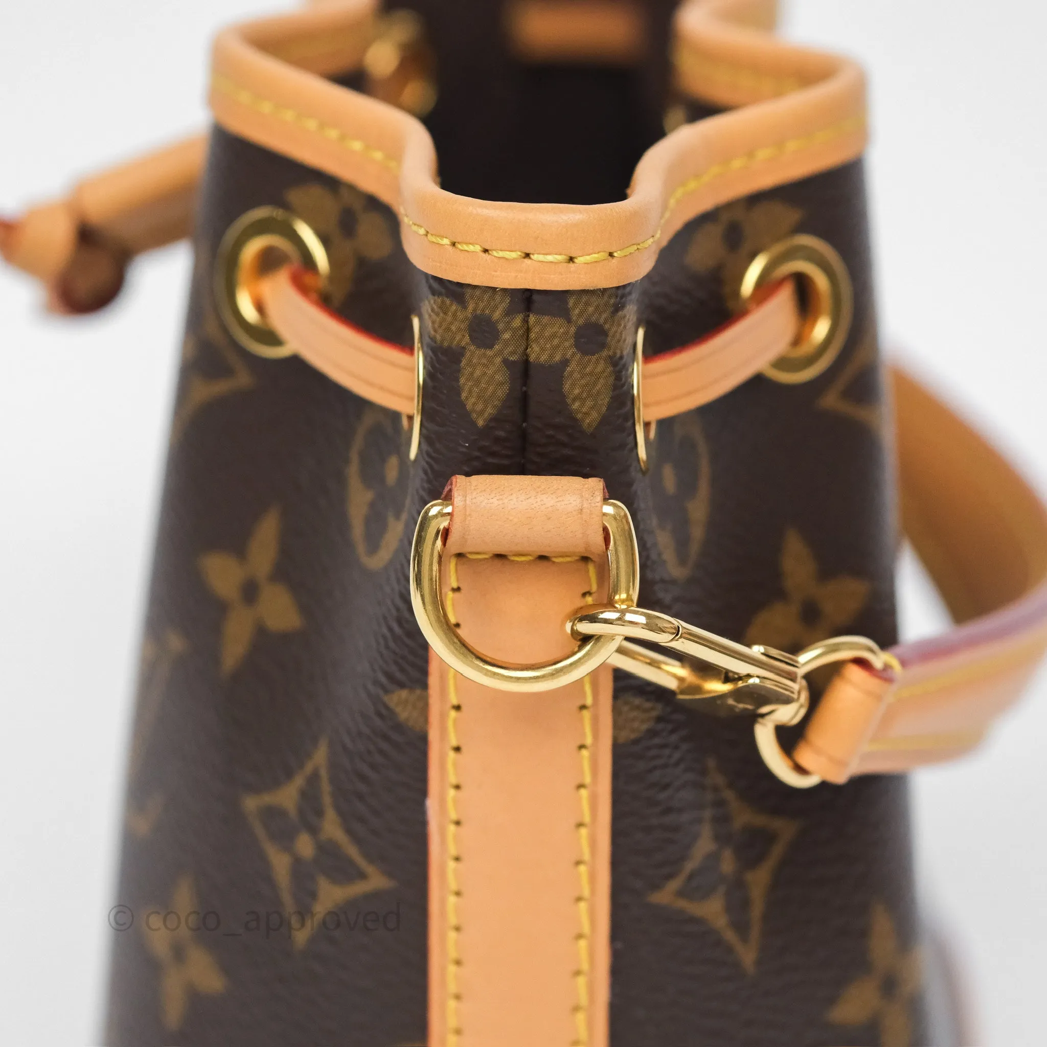 Louis Vuitton Nano Noe Monogram