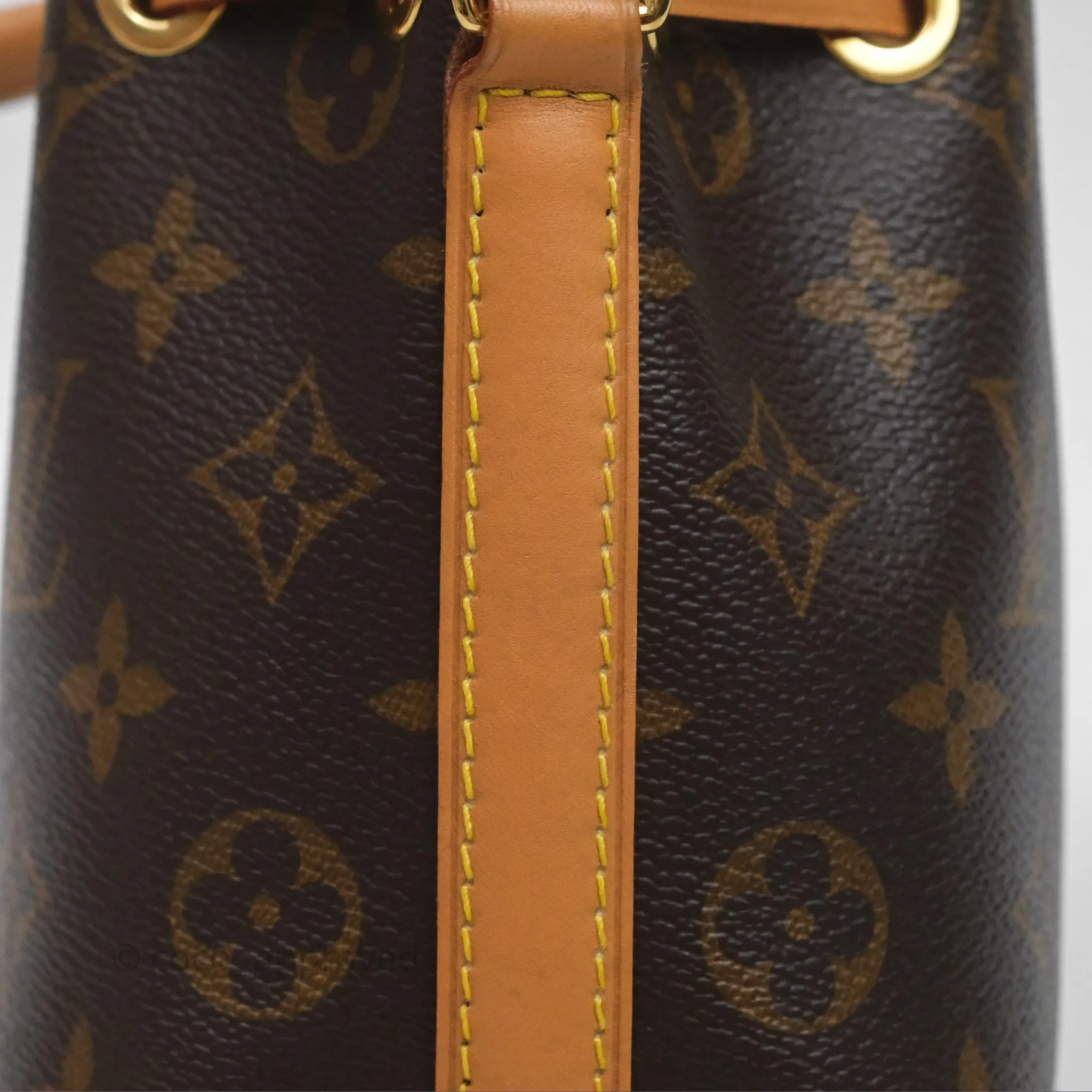 Louis Vuitton Nano Noe Monogram