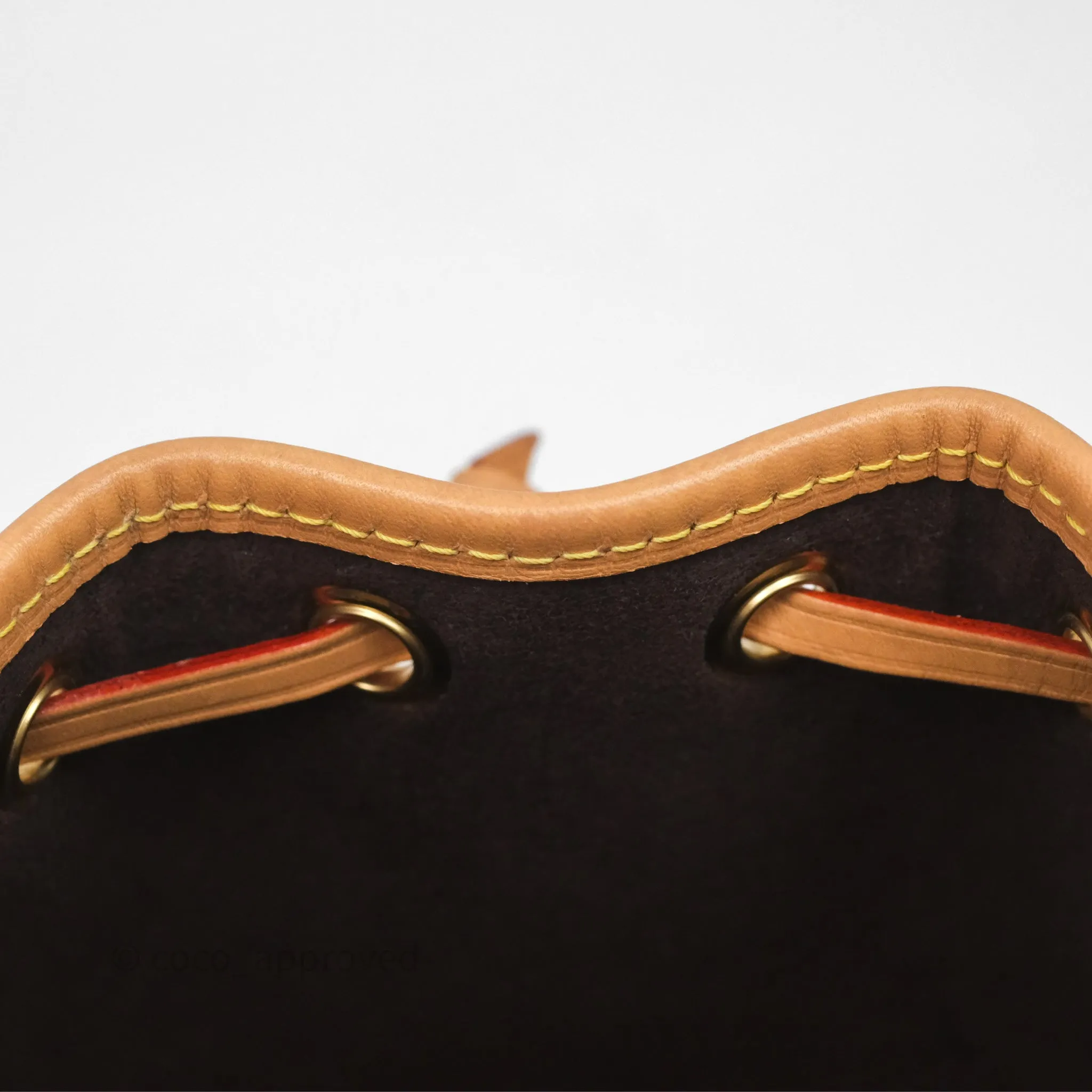 Louis Vuitton Nano Noe Monogram