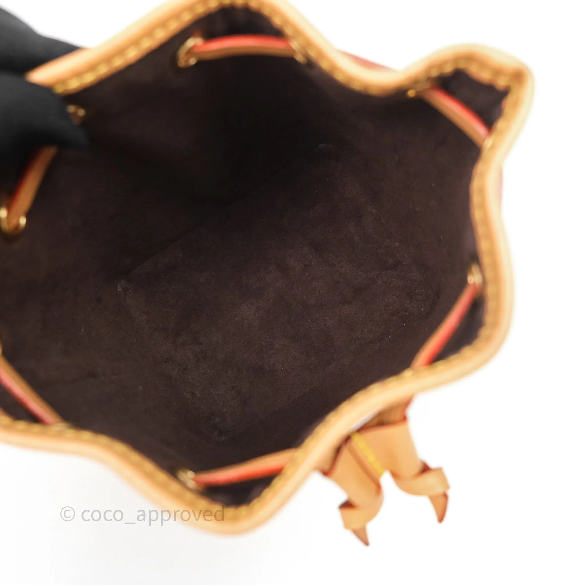 Louis Vuitton Nano Noe Monogram