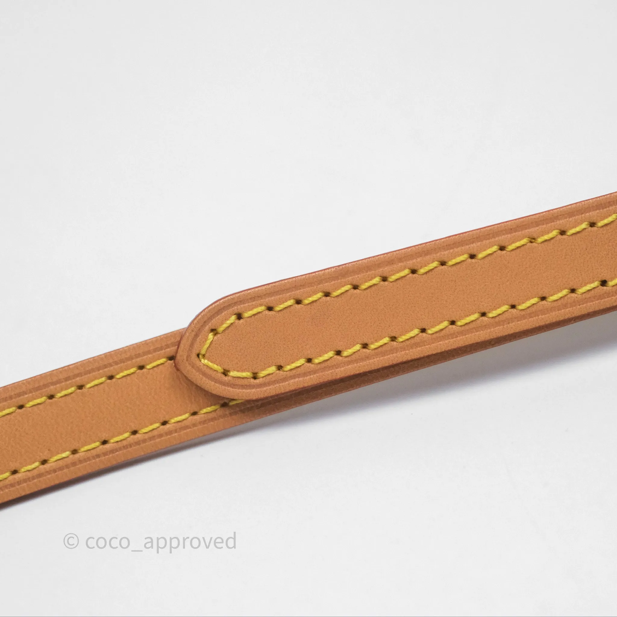 Louis Vuitton Nano Noe Monogram