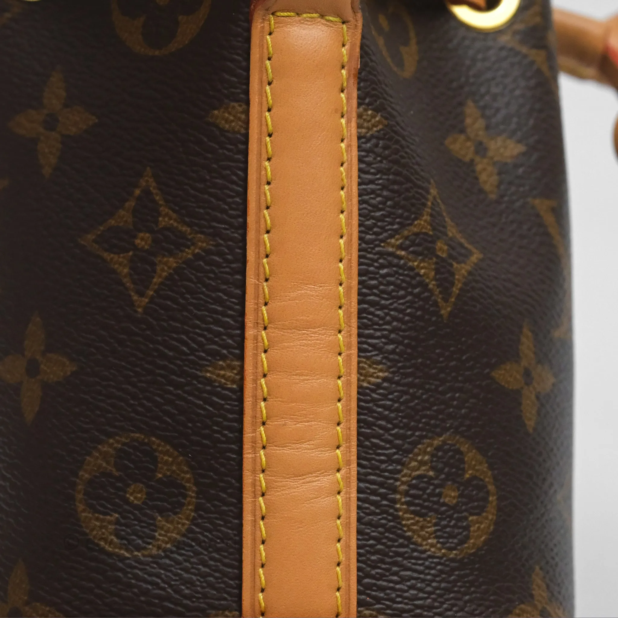 Louis Vuitton Nano Noe Monogram