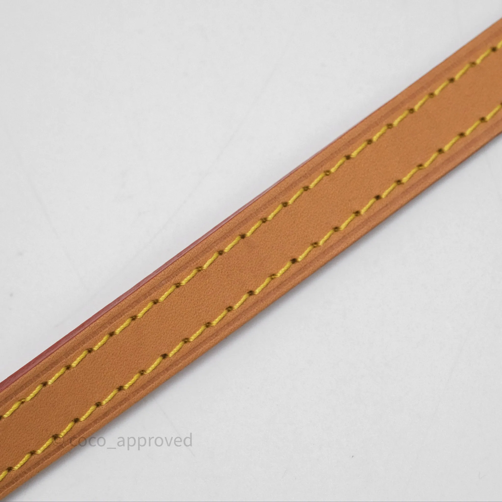 Louis Vuitton Nano Noe Monogram