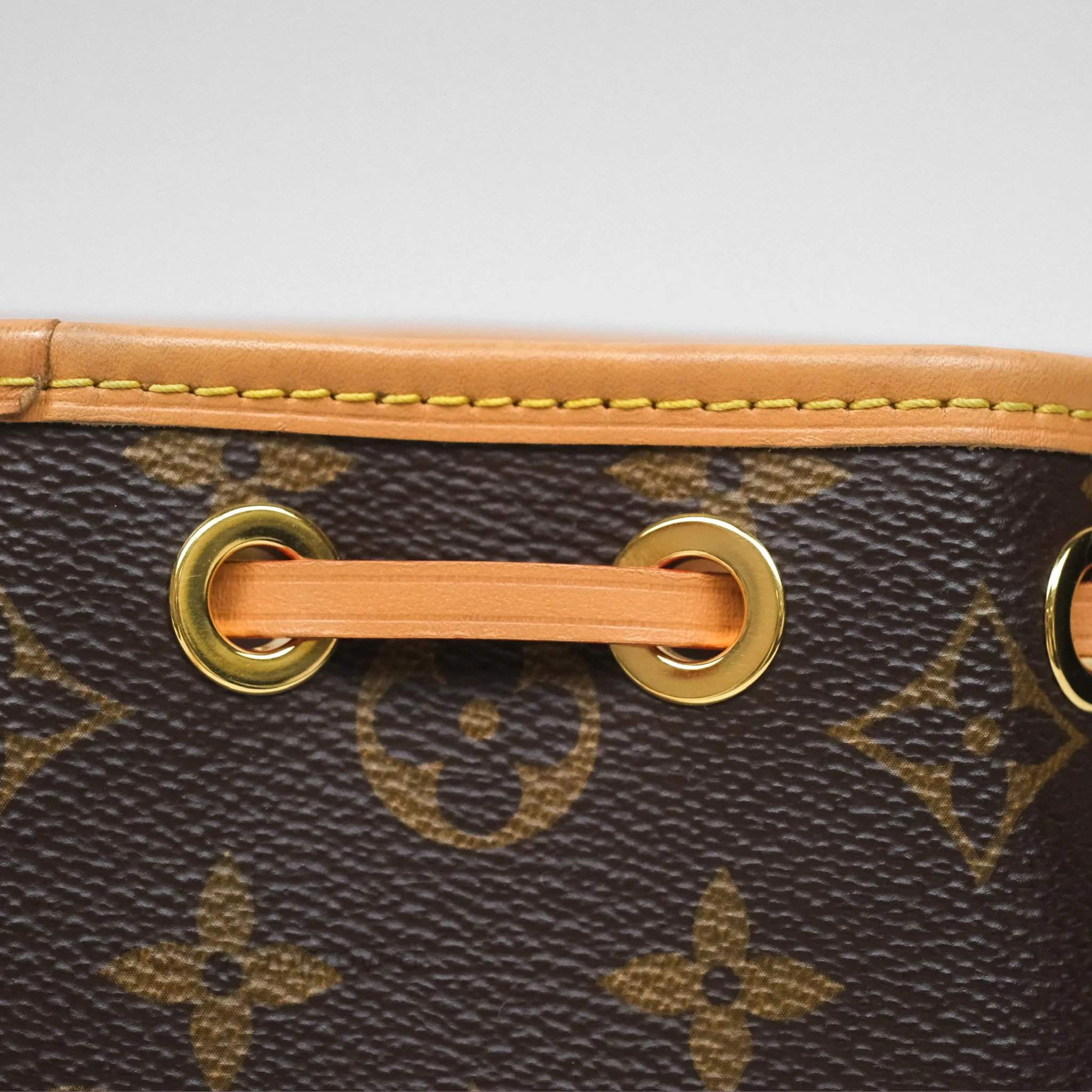 Louis Vuitton Nano Noe Monogram