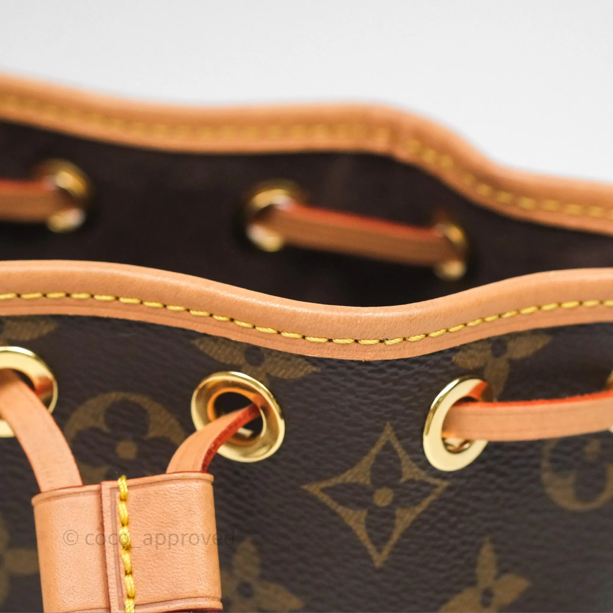 Louis Vuitton Nano Noe Monogram