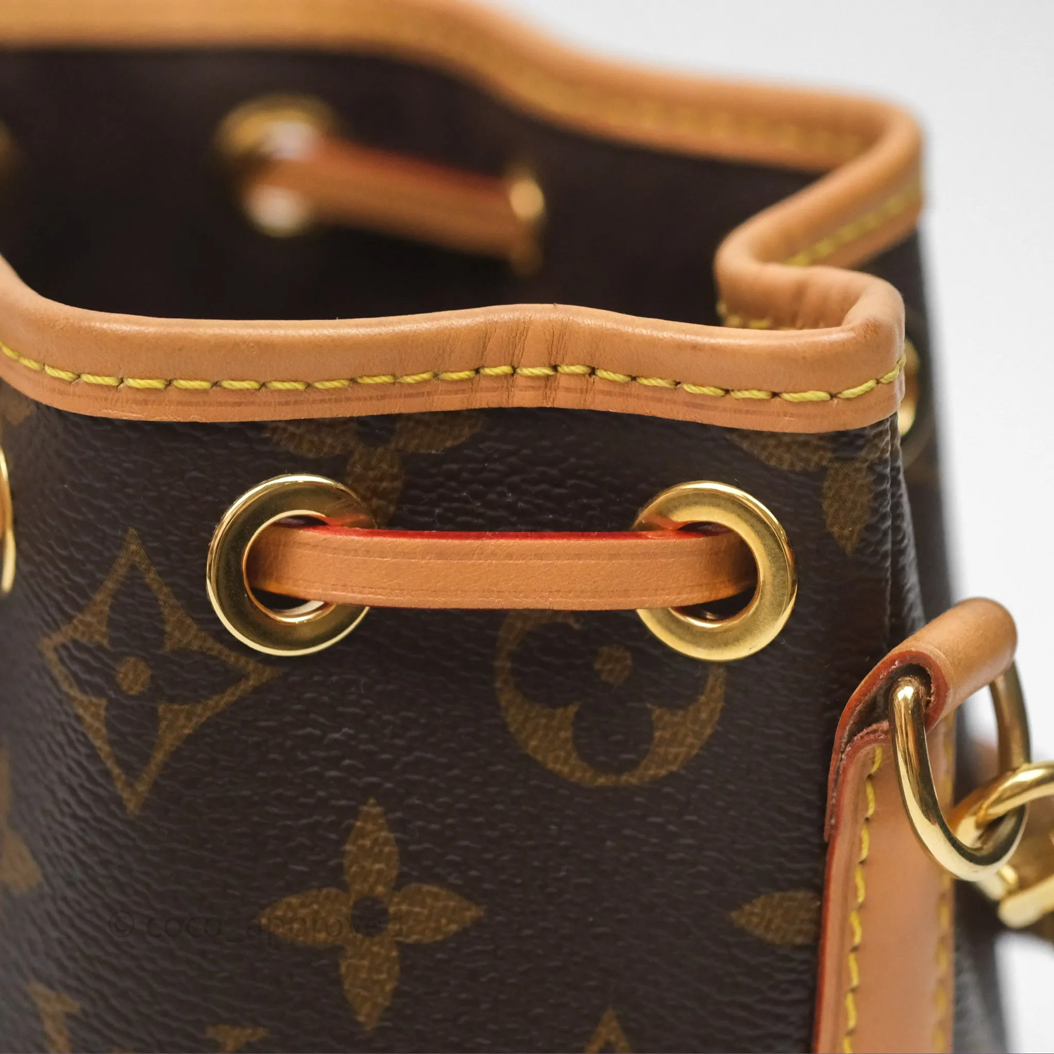 Louis Vuitton Nano Noe Monogram