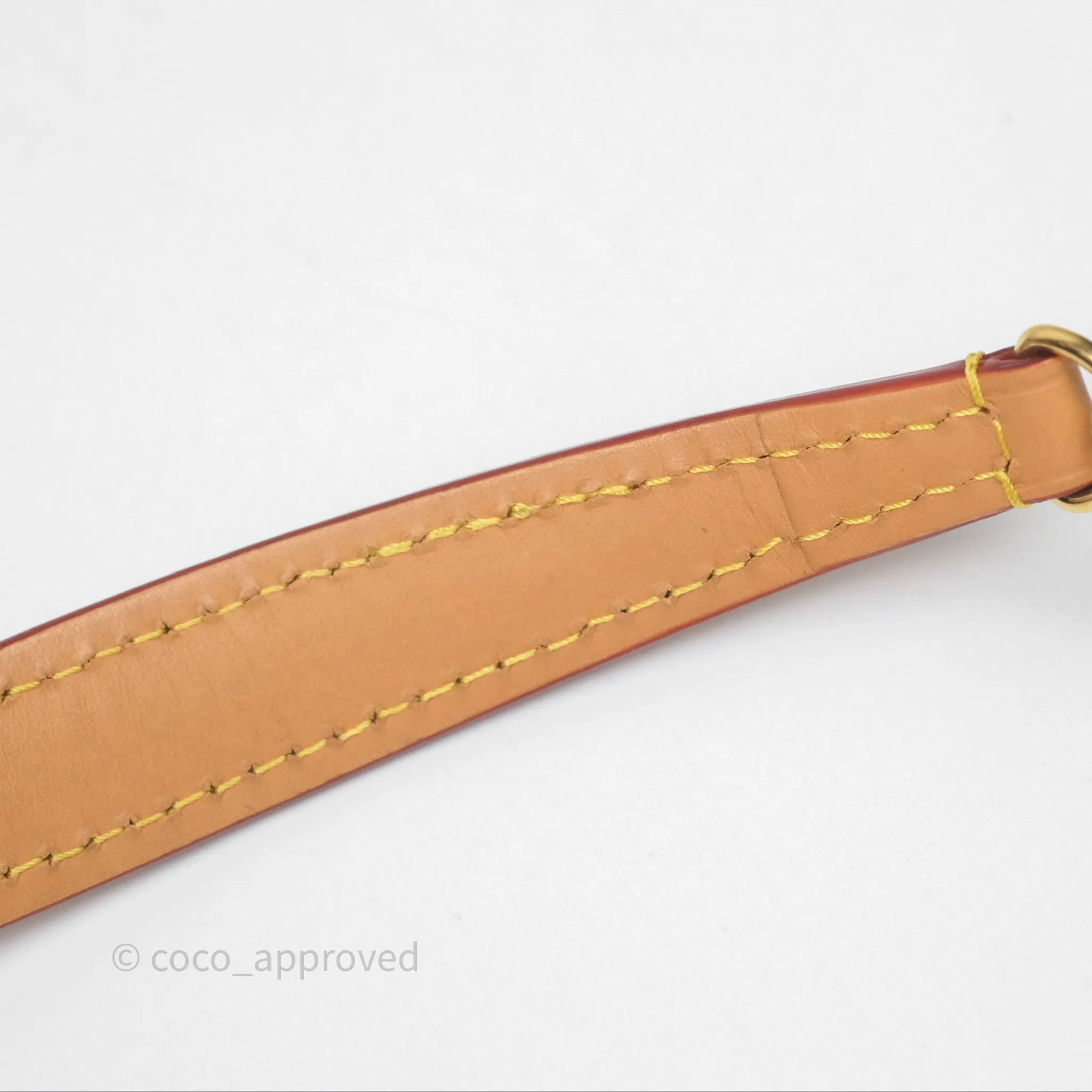 Louis Vuitton Nano Noe Monogram