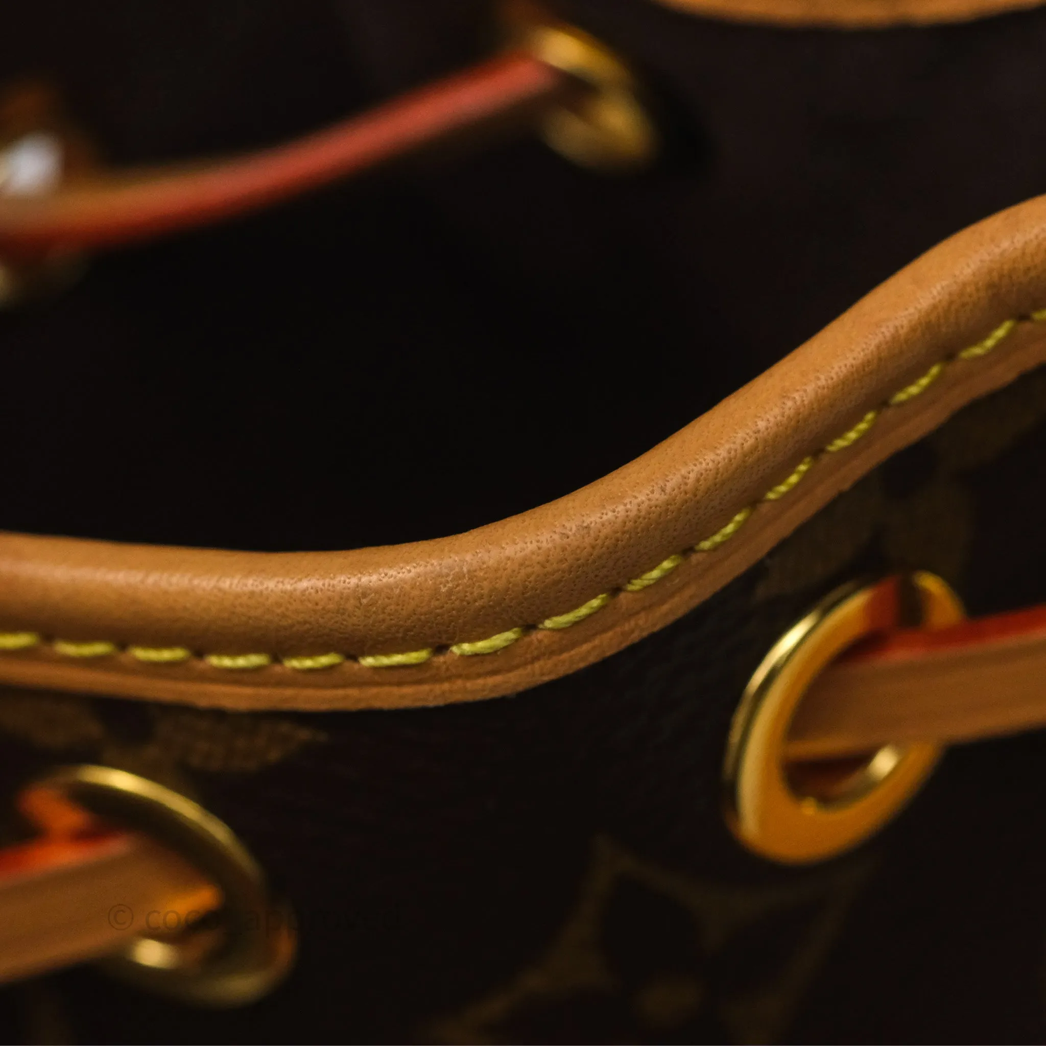 Louis Vuitton Nano Noe Monogram