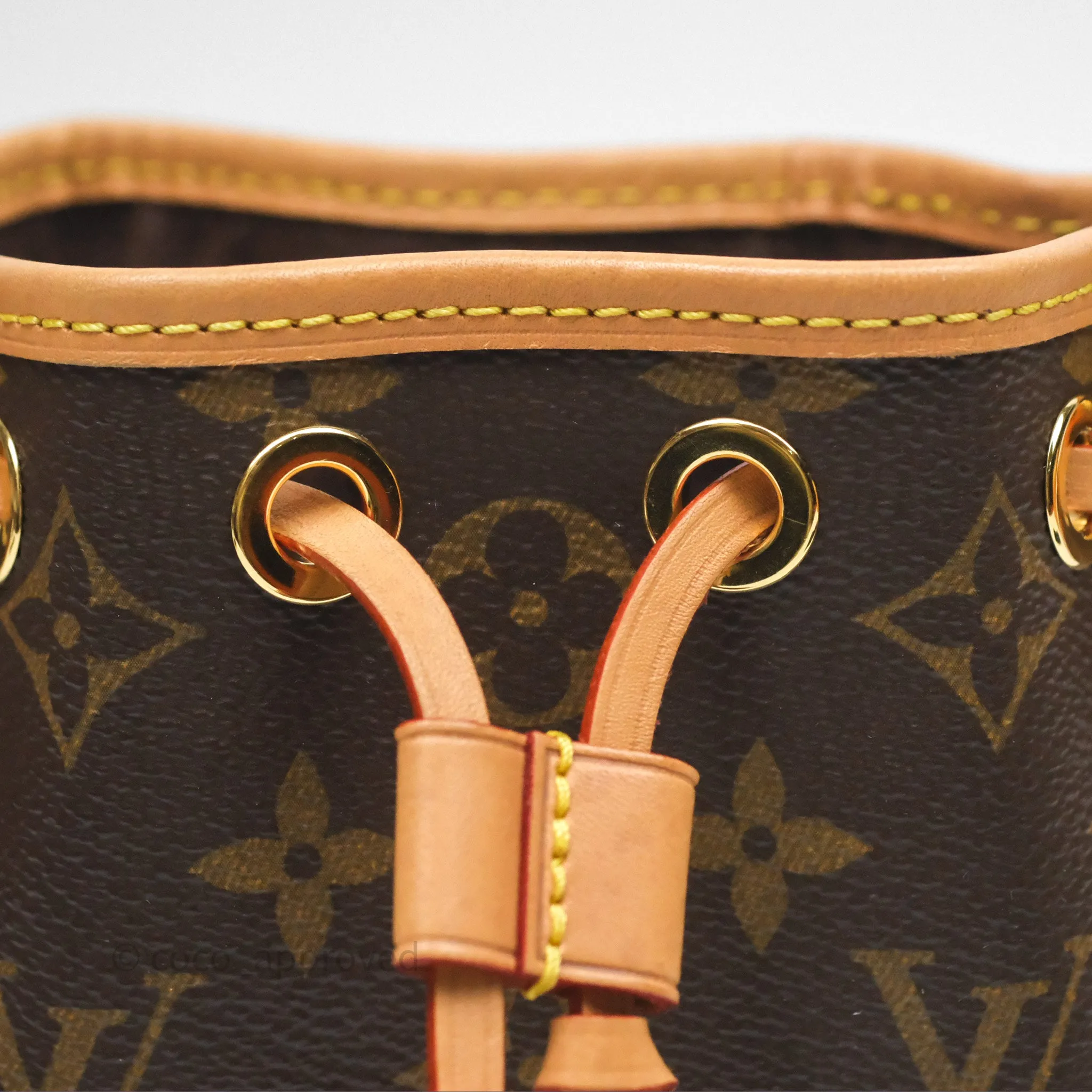 Louis Vuitton Nano Noe Monogram