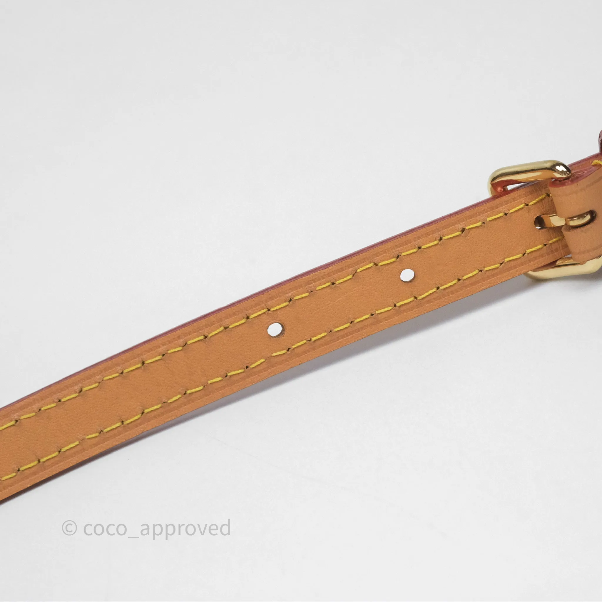 Louis Vuitton Nano Noe Monogram