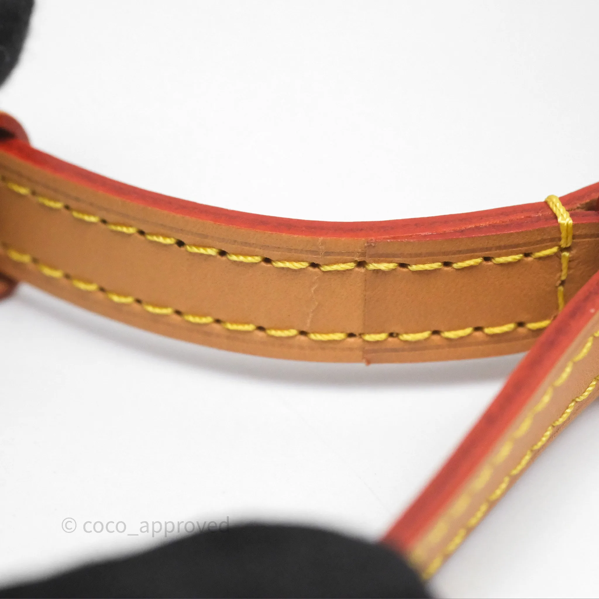 Louis Vuitton Nano Noe Monogram