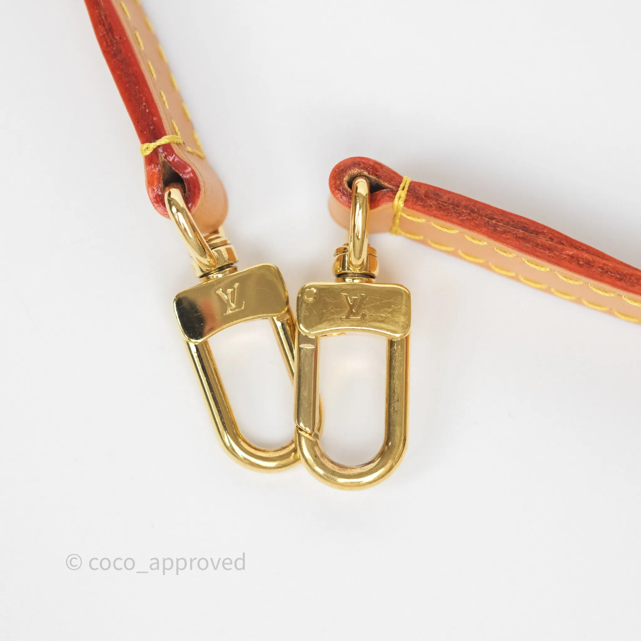 Louis Vuitton Nano Noe Monogram