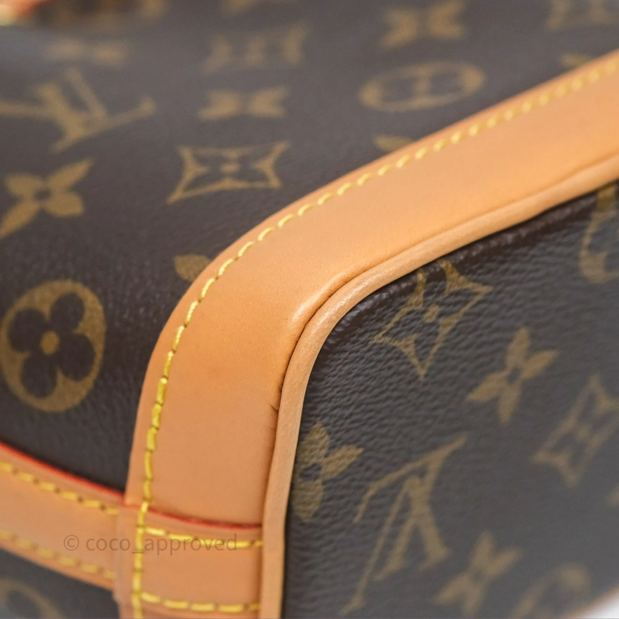 Louis Vuitton Nano Noe Monogram