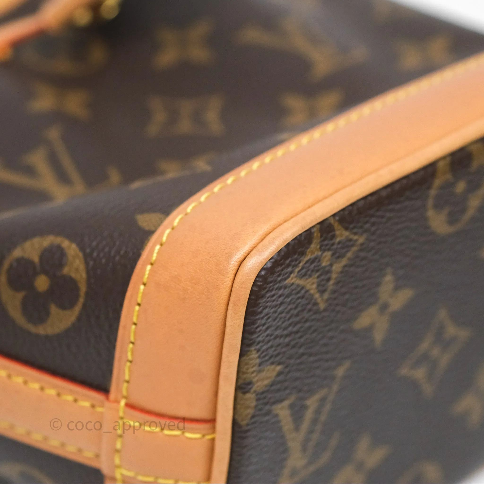 Louis Vuitton Nano Noe Monogram