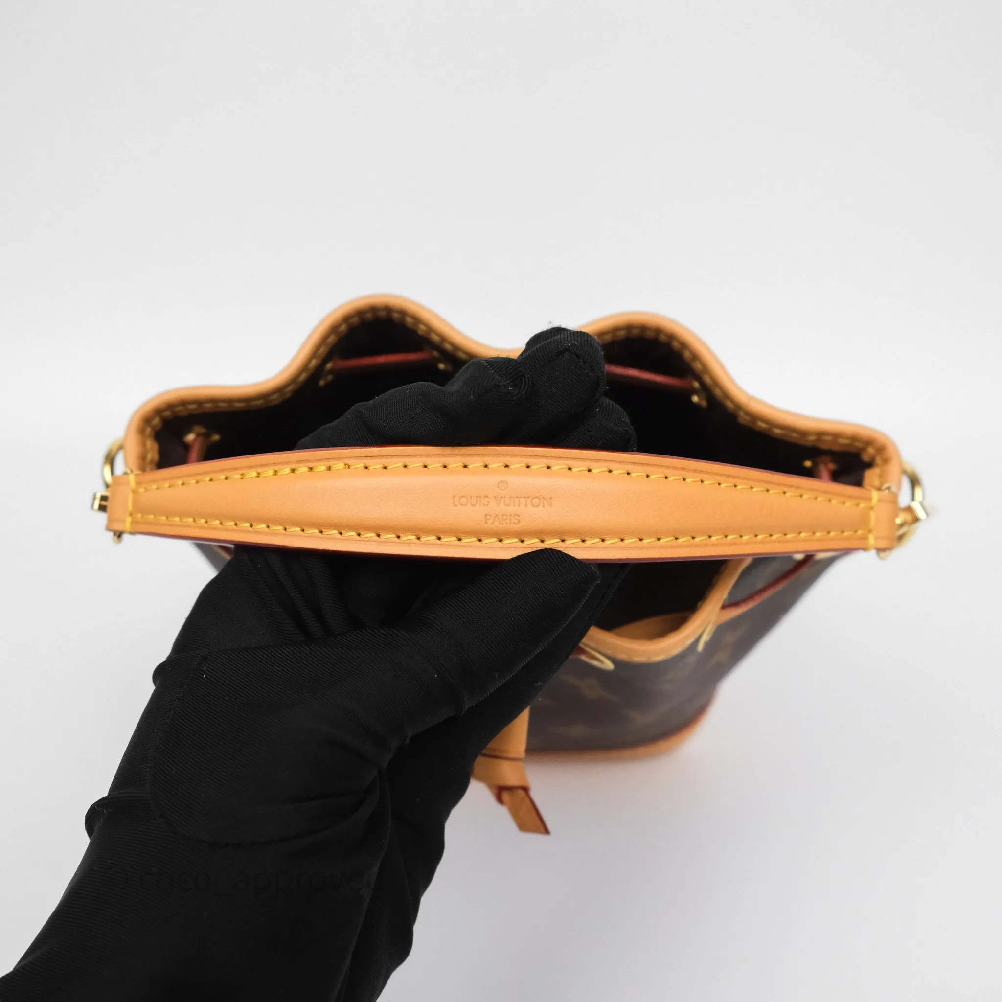 Louis Vuitton Nano Noe Monogram
