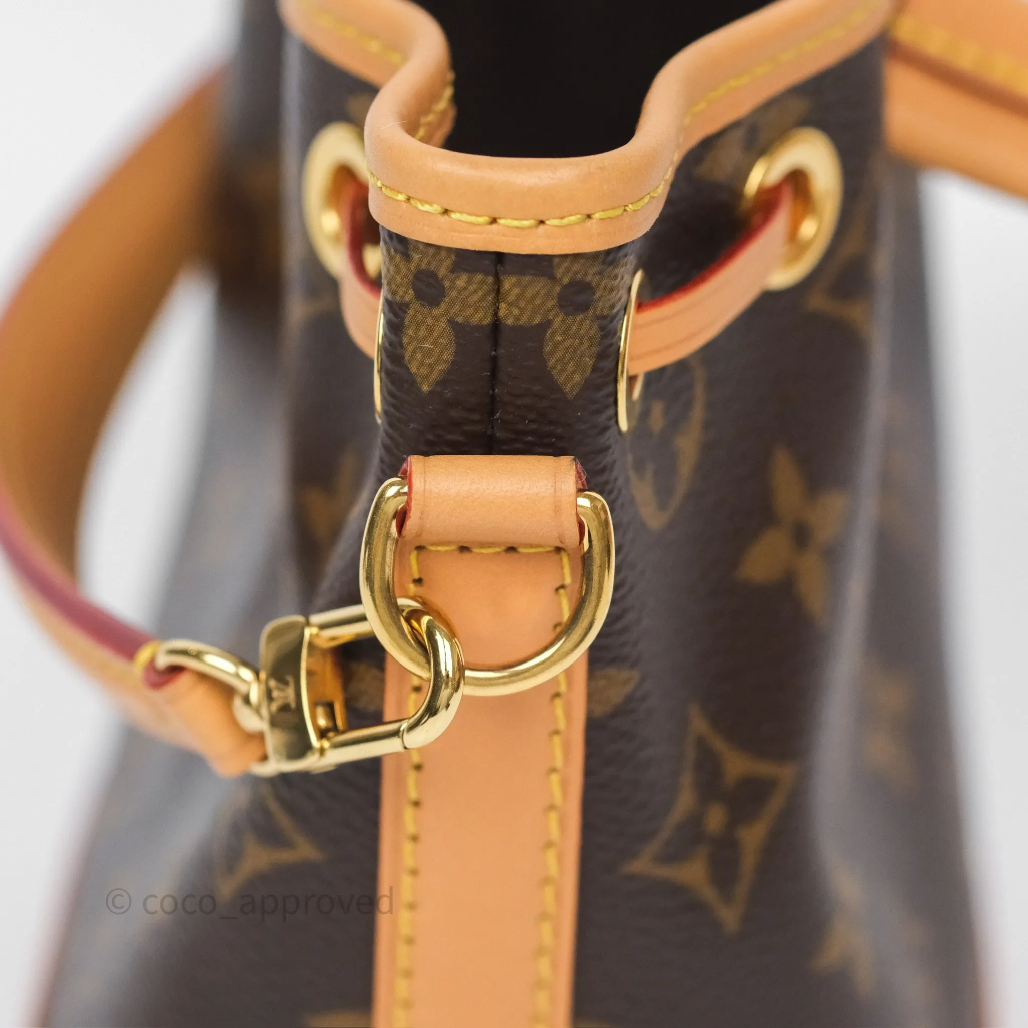 Louis Vuitton Nano Noe Monogram
