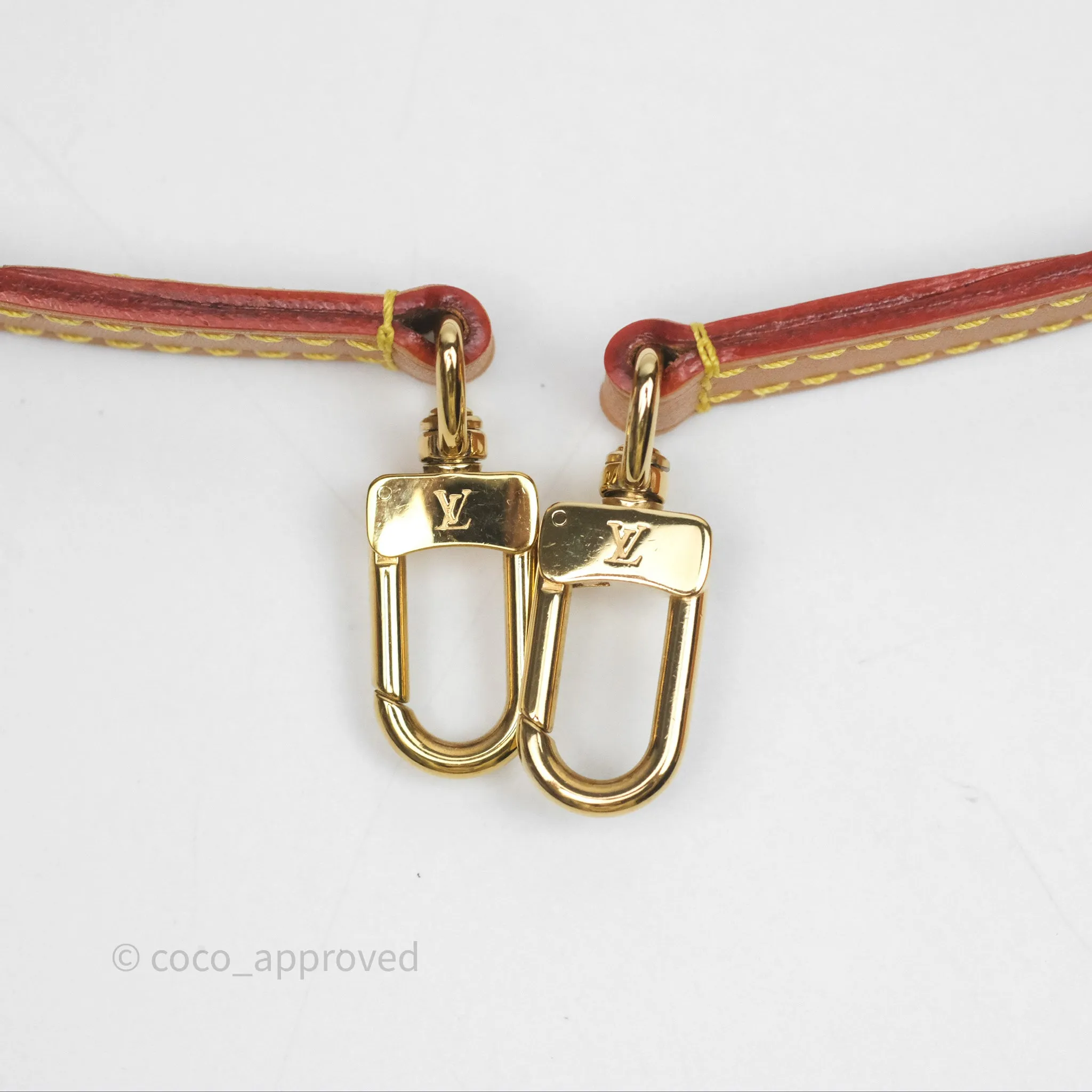 Louis Vuitton Nano Noe Monogram
