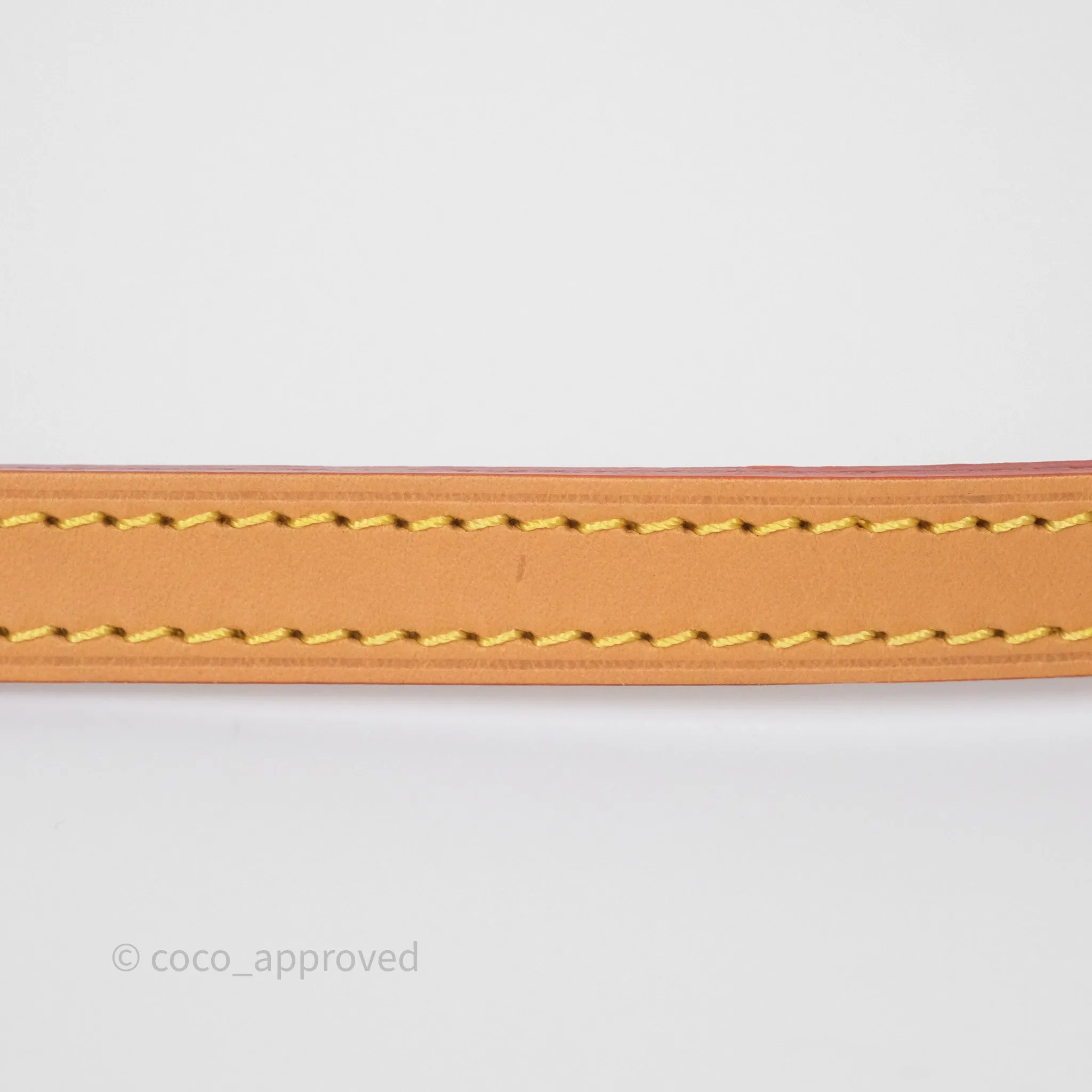 Louis Vuitton Nano Noe Monogram