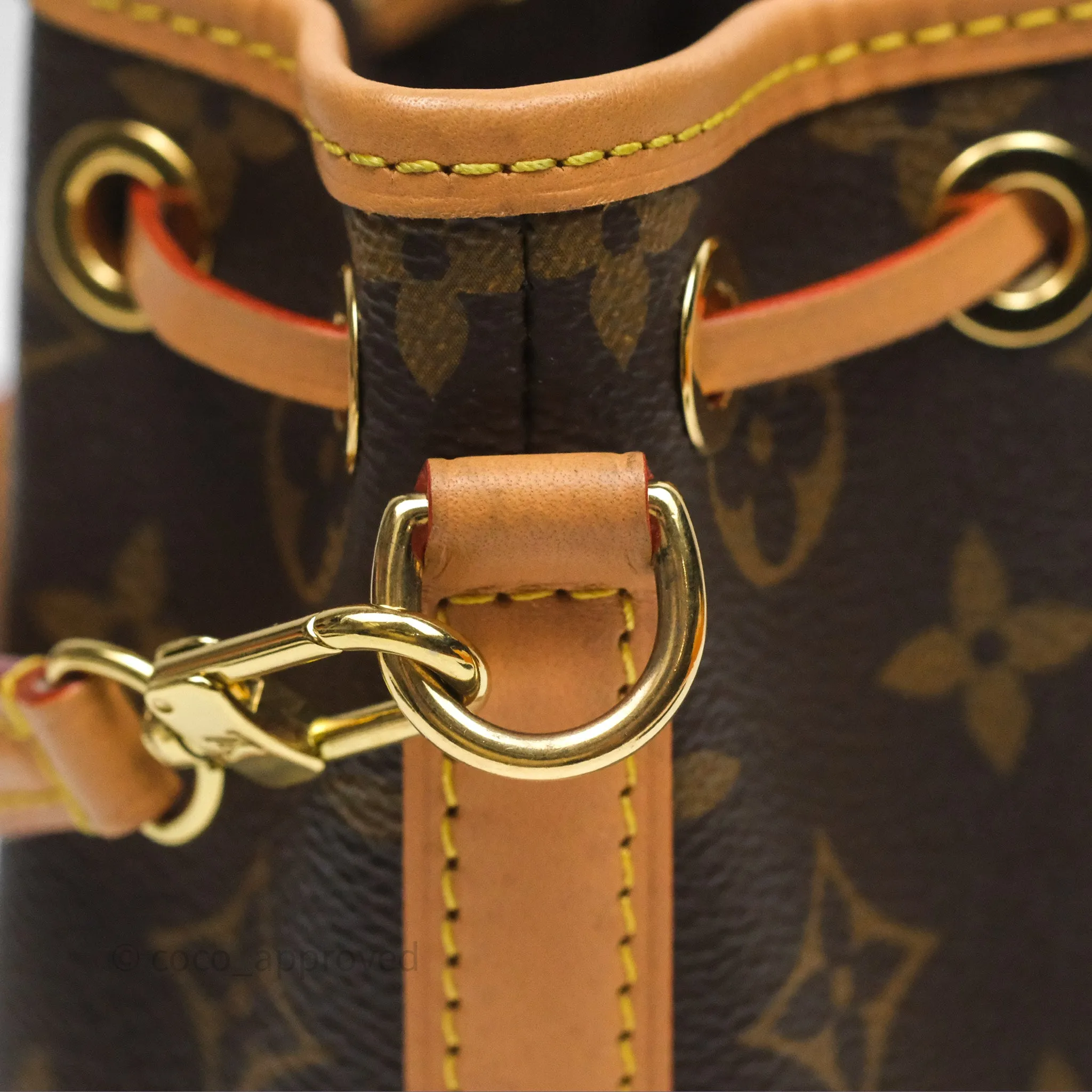 Louis Vuitton Nano Noe Monogram