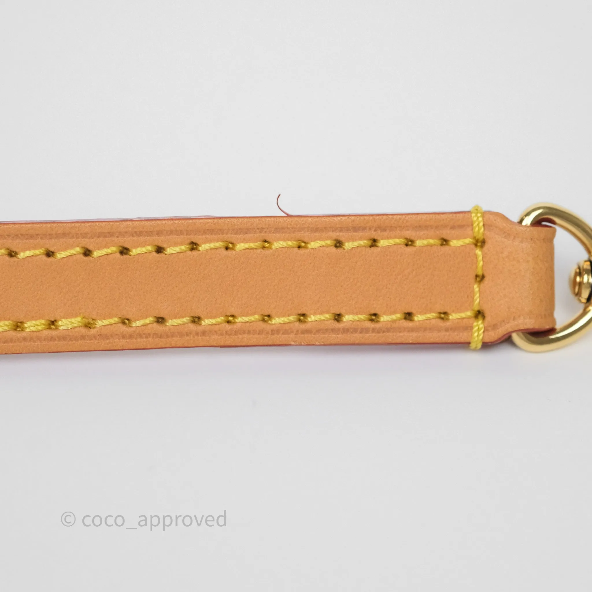 Louis Vuitton Nano Noe Monogram