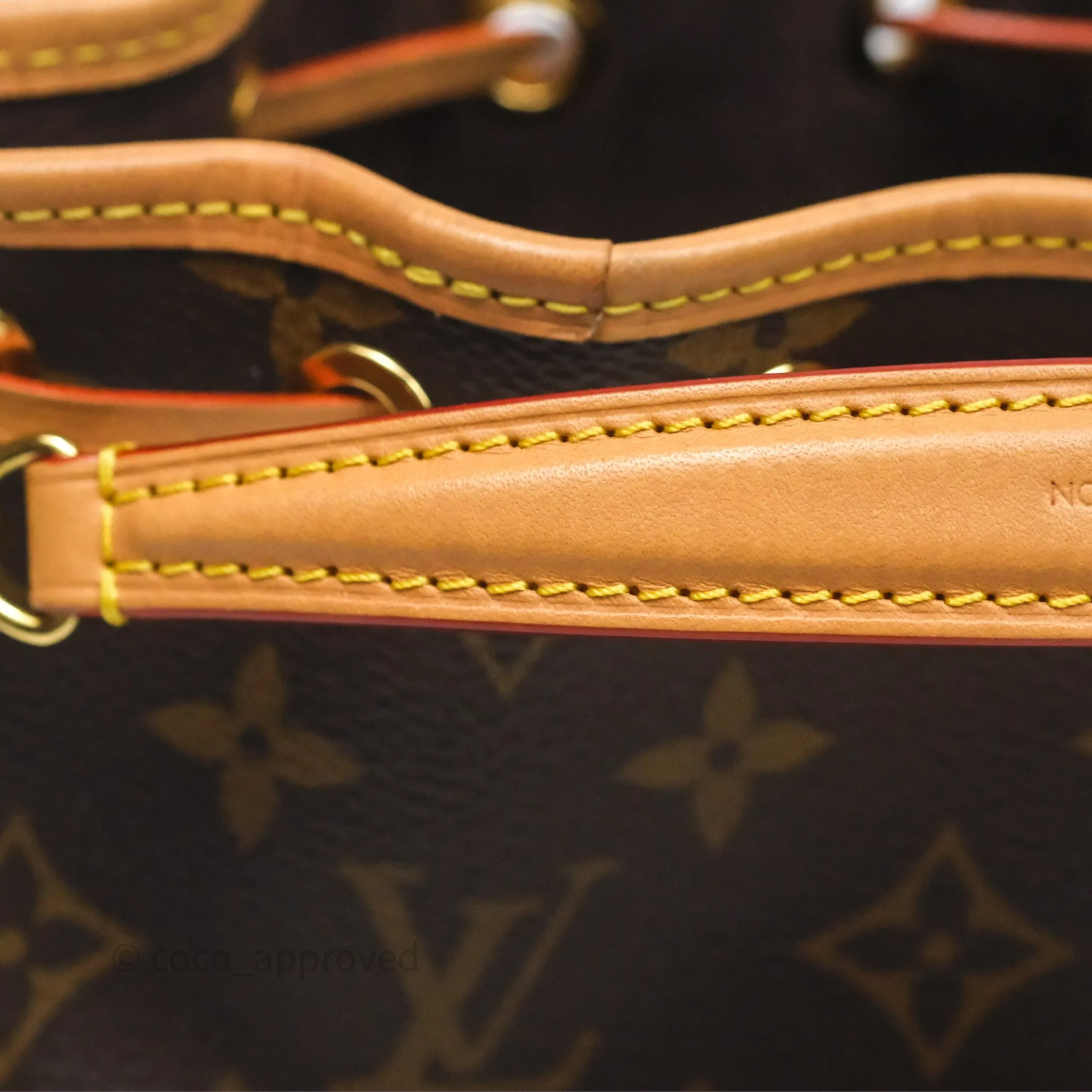 Louis Vuitton Nano Noe Monogram