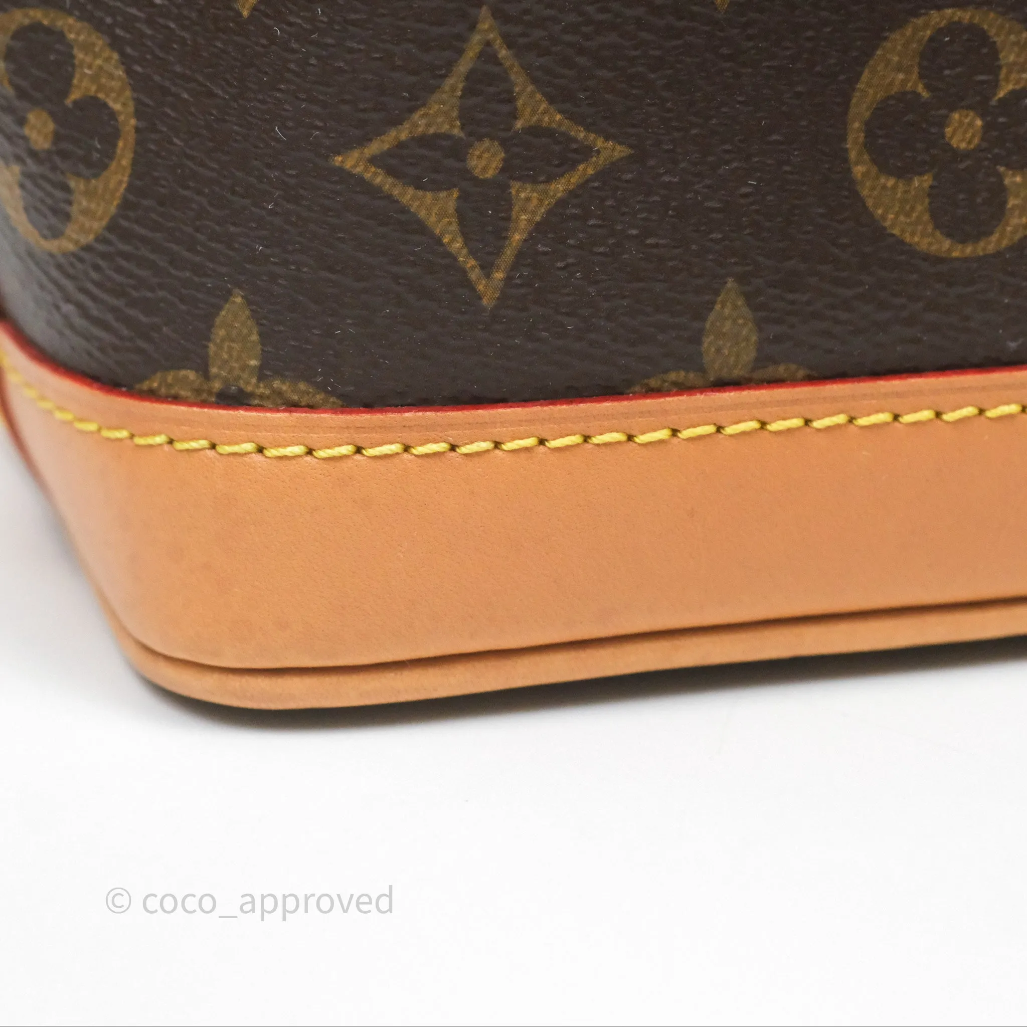 Louis Vuitton Nano Noe Monogram