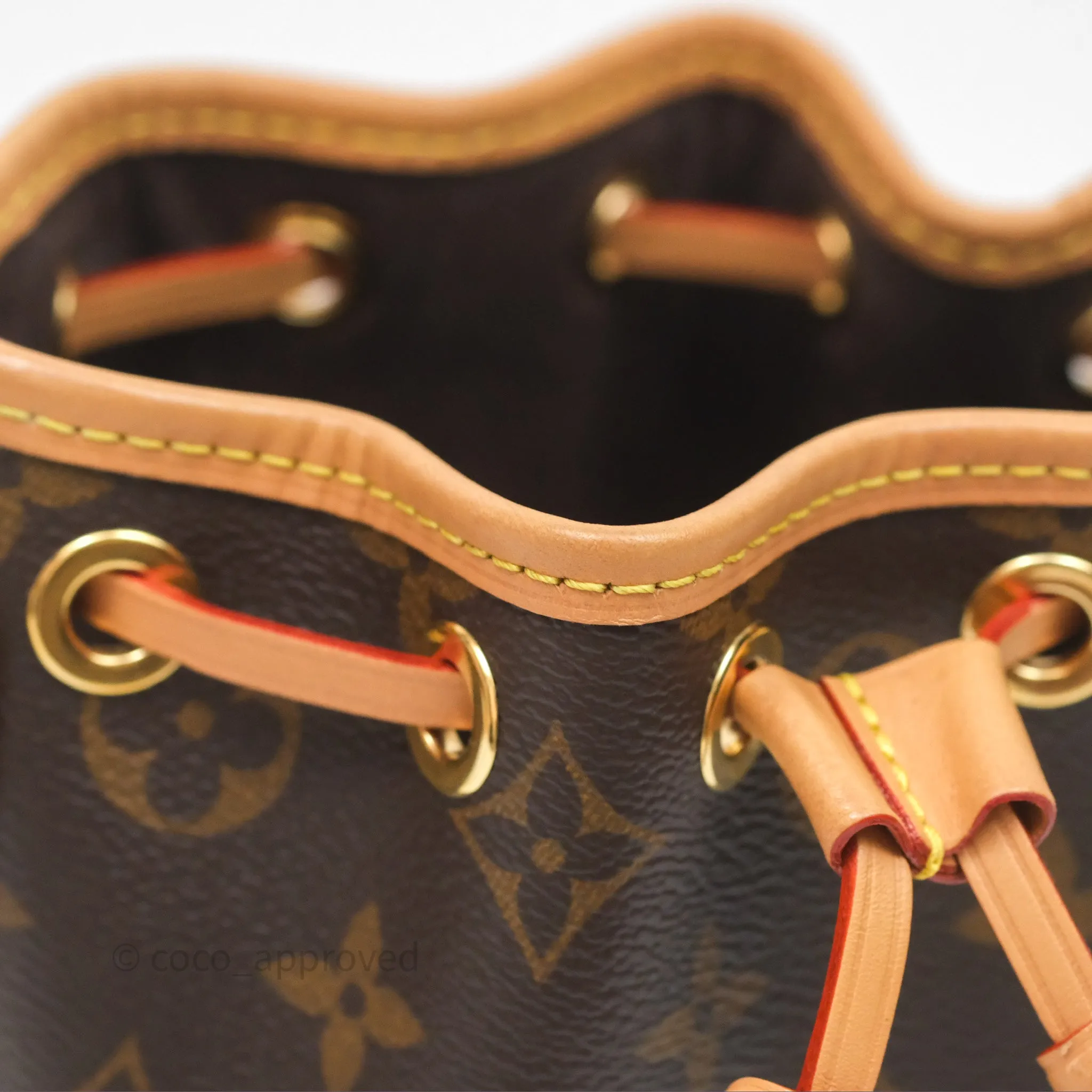 Louis Vuitton Nano Noe Monogram