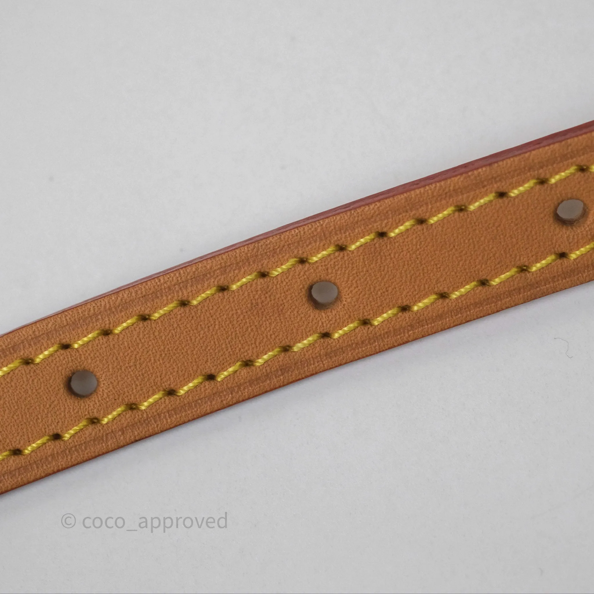 Louis Vuitton Nano Noe Monogram
