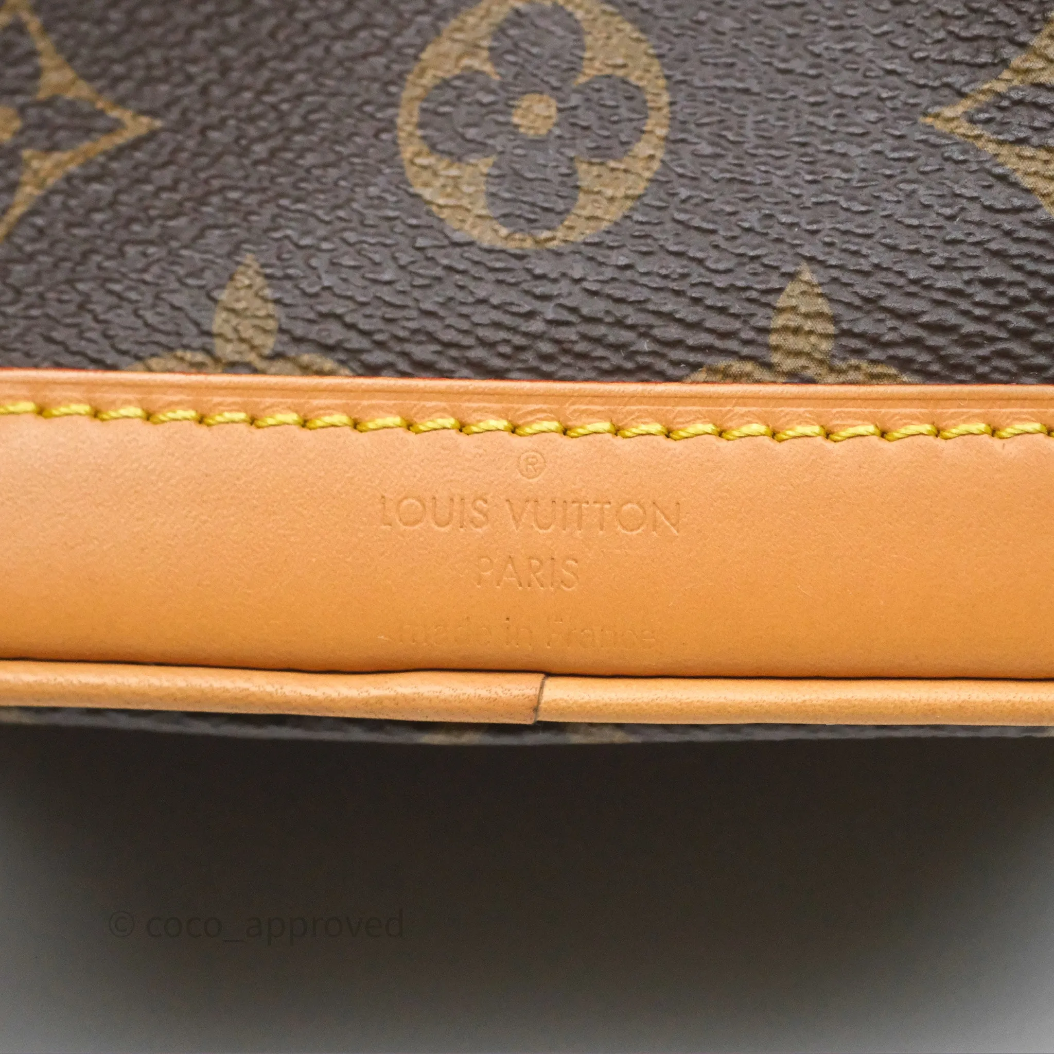 Louis Vuitton Nano Noe Monogram