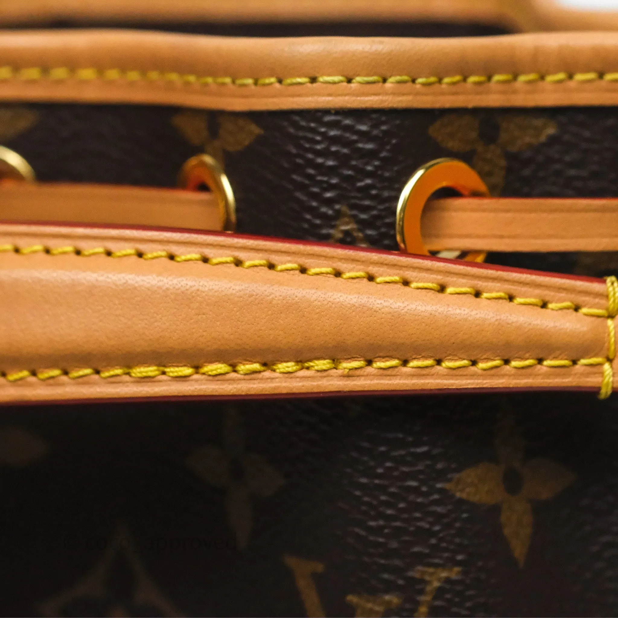 Louis Vuitton Nano Noe Monogram