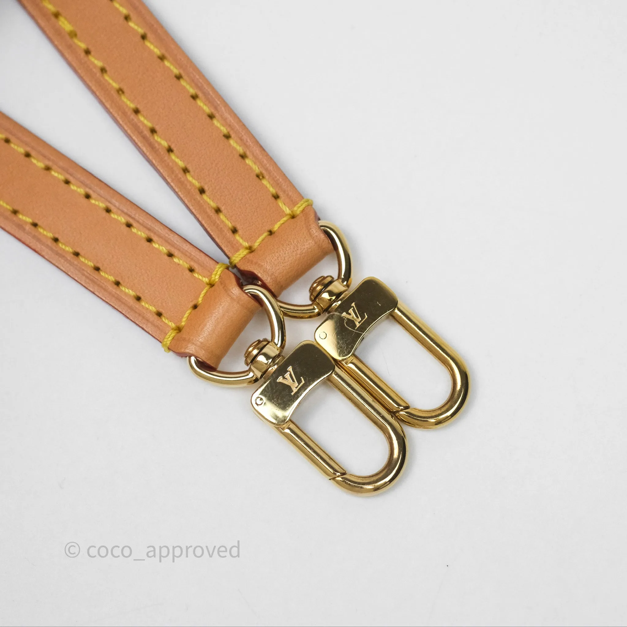 Louis Vuitton Nano Noe Monogram