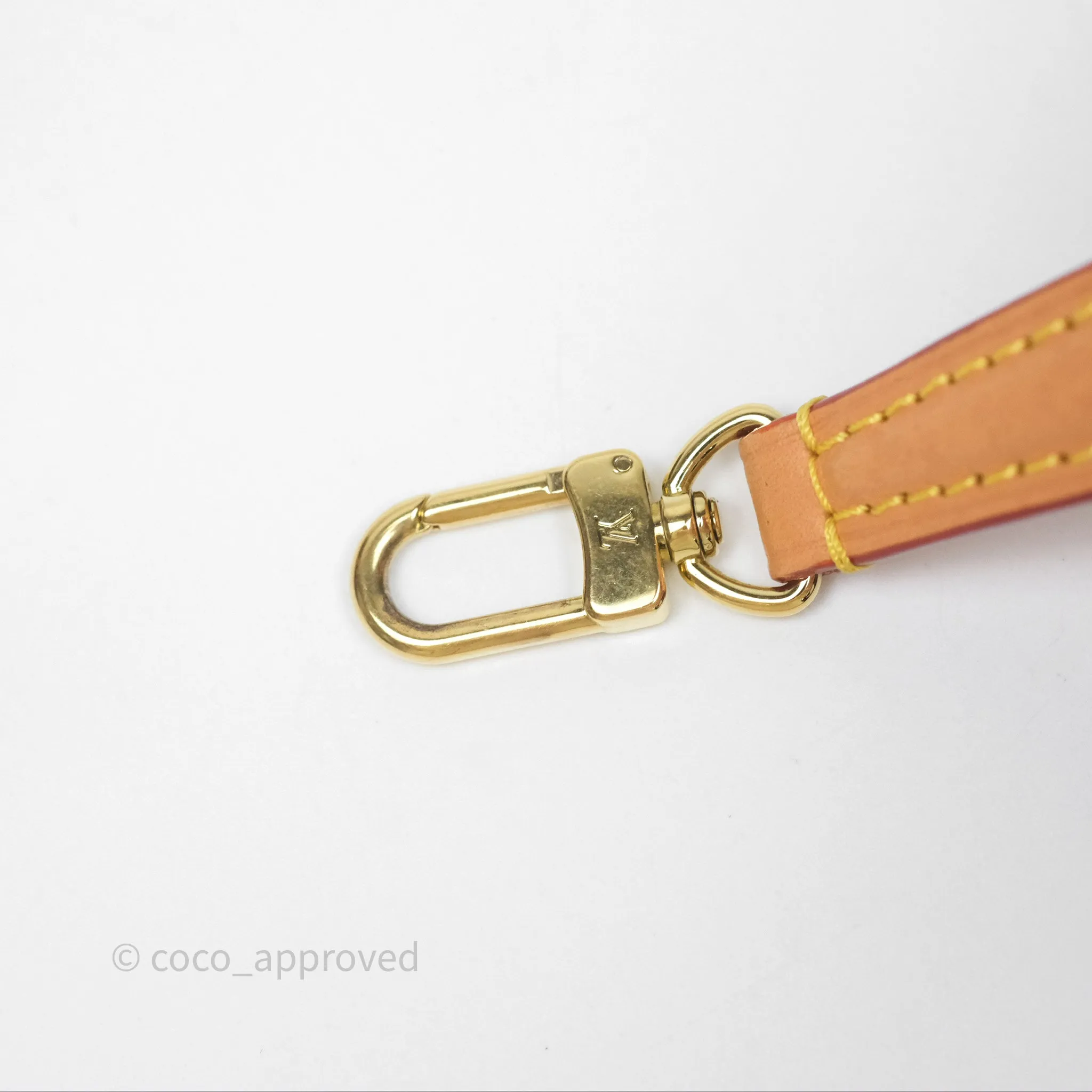 Louis Vuitton Nano Noe Monogram
