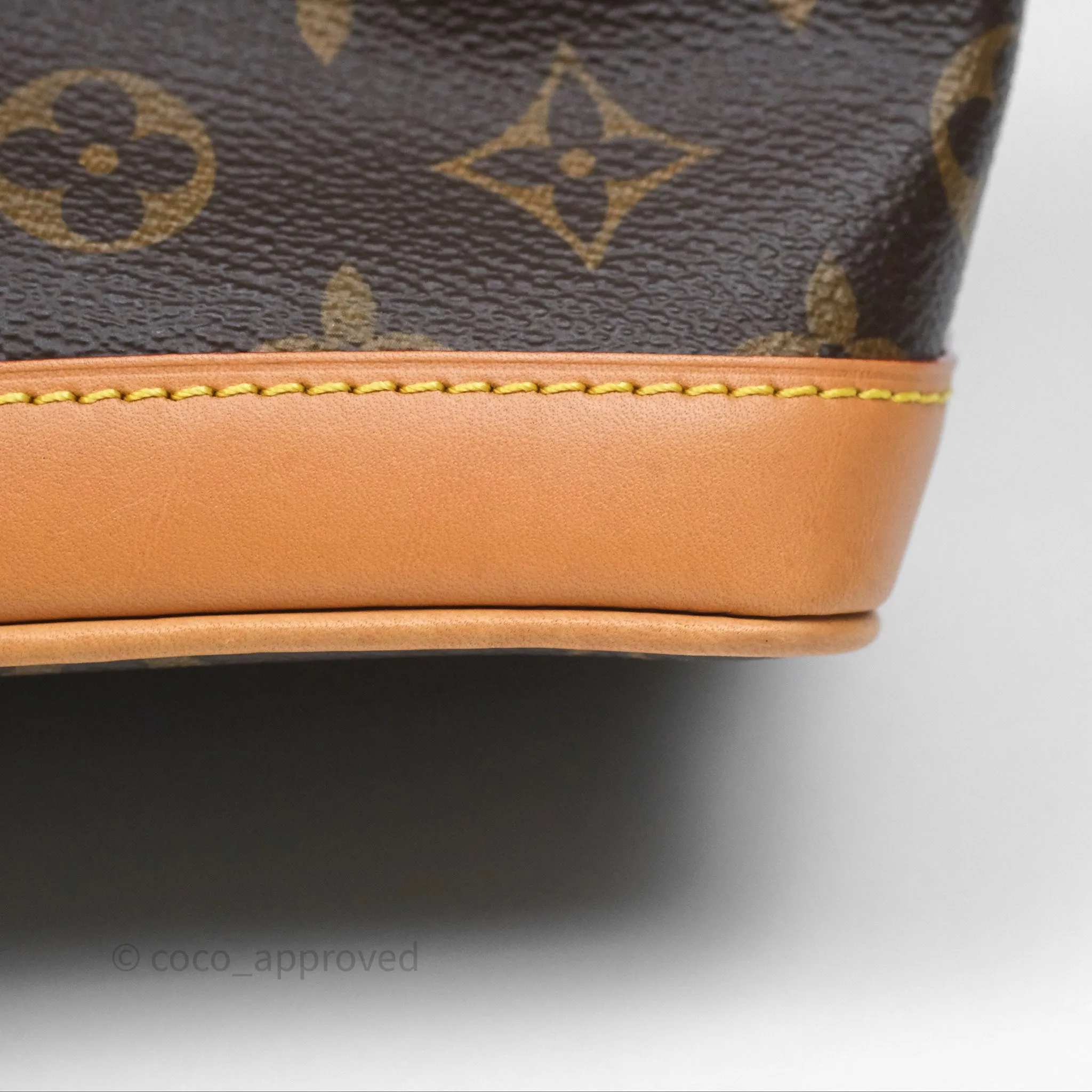 Louis Vuitton Nano Noe Monogram